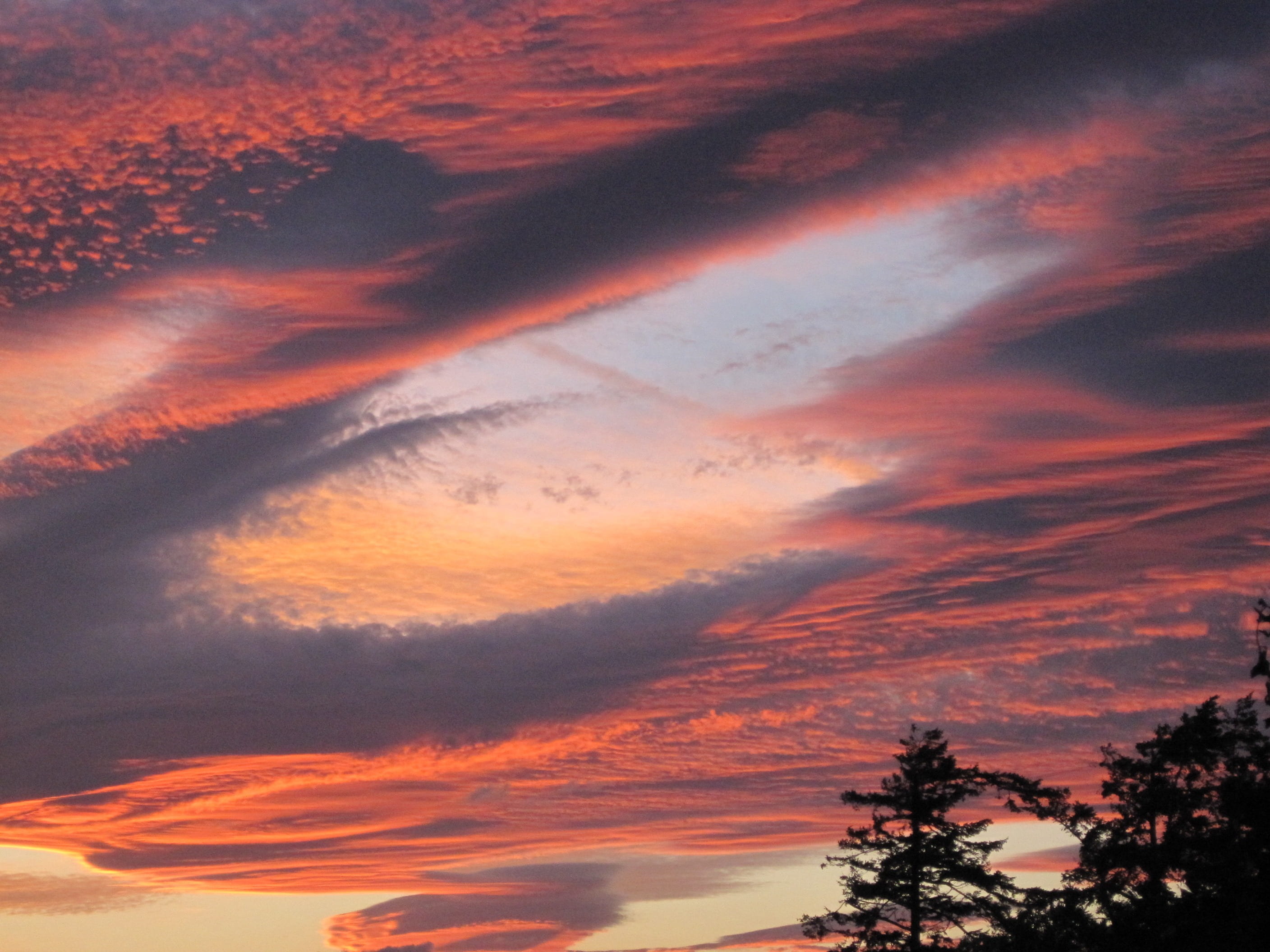 evening, orange color, outdoor, saturated color, color, sundown, cloud - sky, no people, western horizon, view, beams, clouds, nature, disappearance, treetop, HD Wallpaper