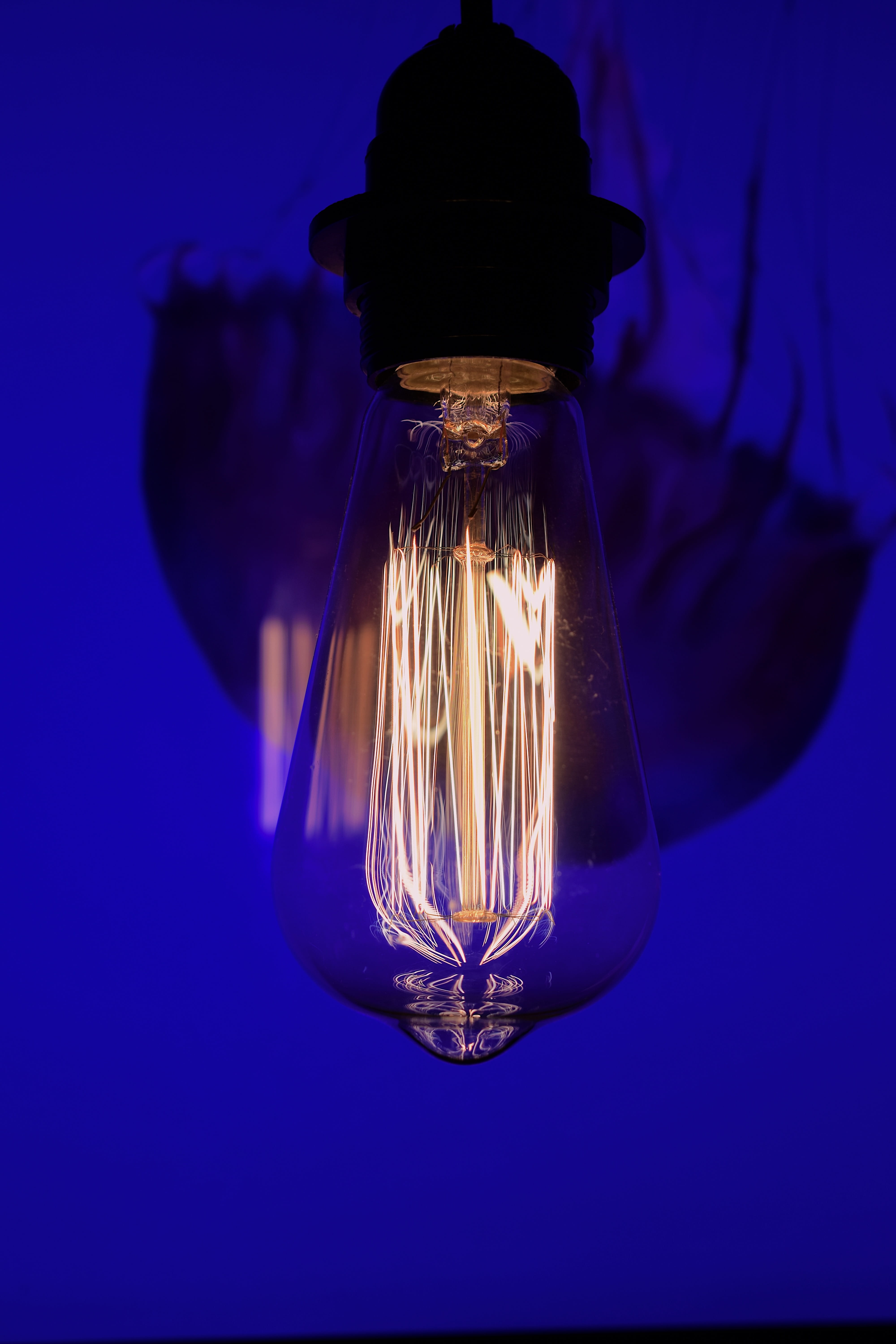 light, indoors, bulbs, close up, lighting equipment, colored background, electricity, no people, vintage lamp, blue background, close-up, dark, lighting, Phone HD Wallpaper