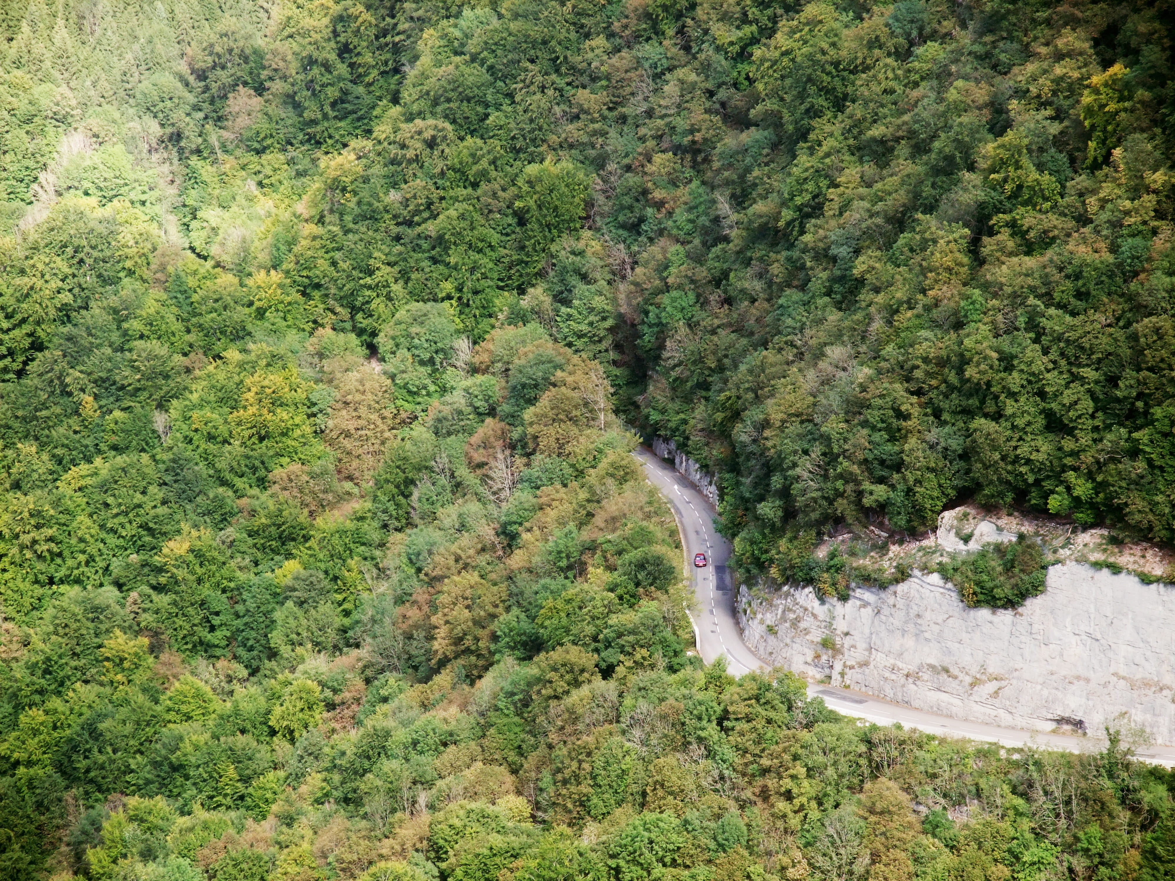 4K, trees, cut off, outdoors, green, no people, growth, tranquility, forestry, flowing water, forest, scenics - nature, driving a car, travel, escape, HD Wallpaper