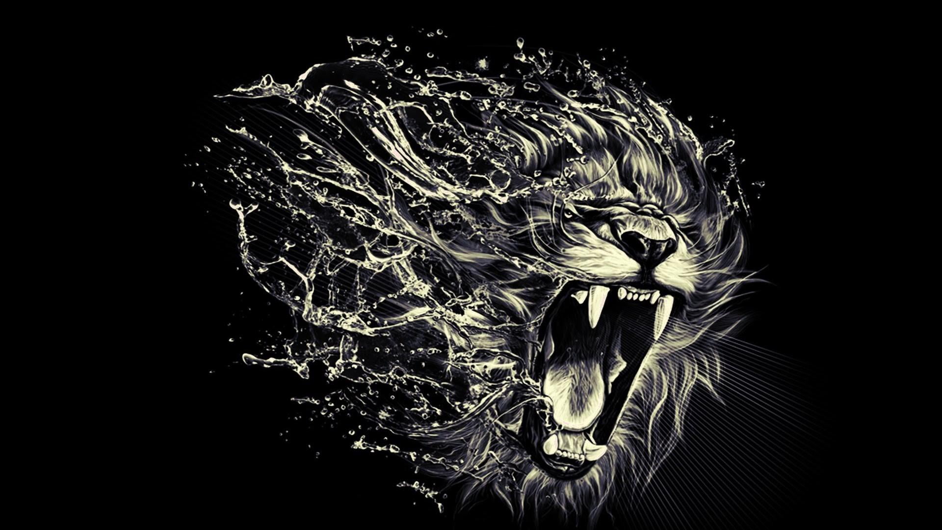 mammal, one animal, black background, animals in the wild, animal themes, animal wildlife, night, close-up, animal, indoors, nature, illuminated, animal head, HD Wallpaper