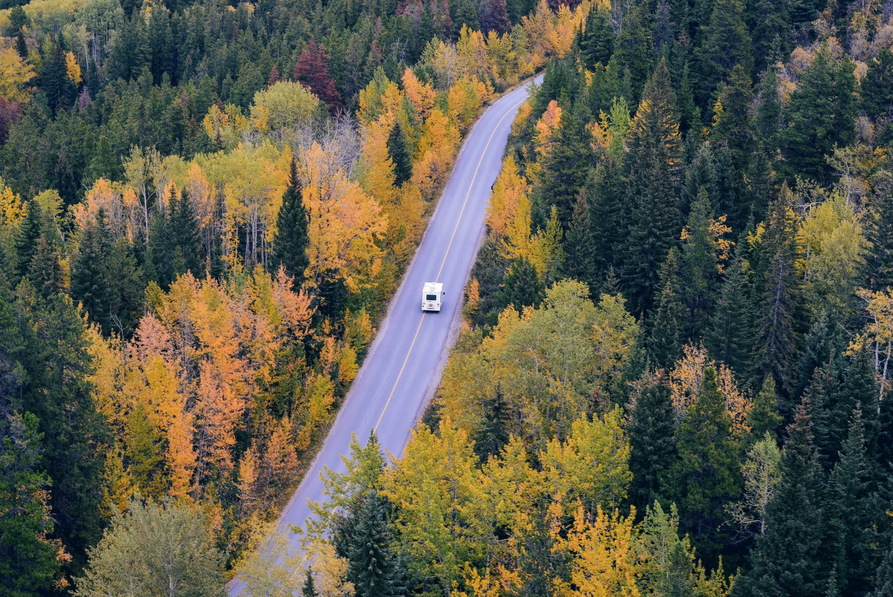 fir trees, growth, tranquility, non-urban scene, plant, daytime, high angle view, travelling, change, idyllic, 2K, motorhome, coniferous tree, tranquil scene, HD Wallpaper