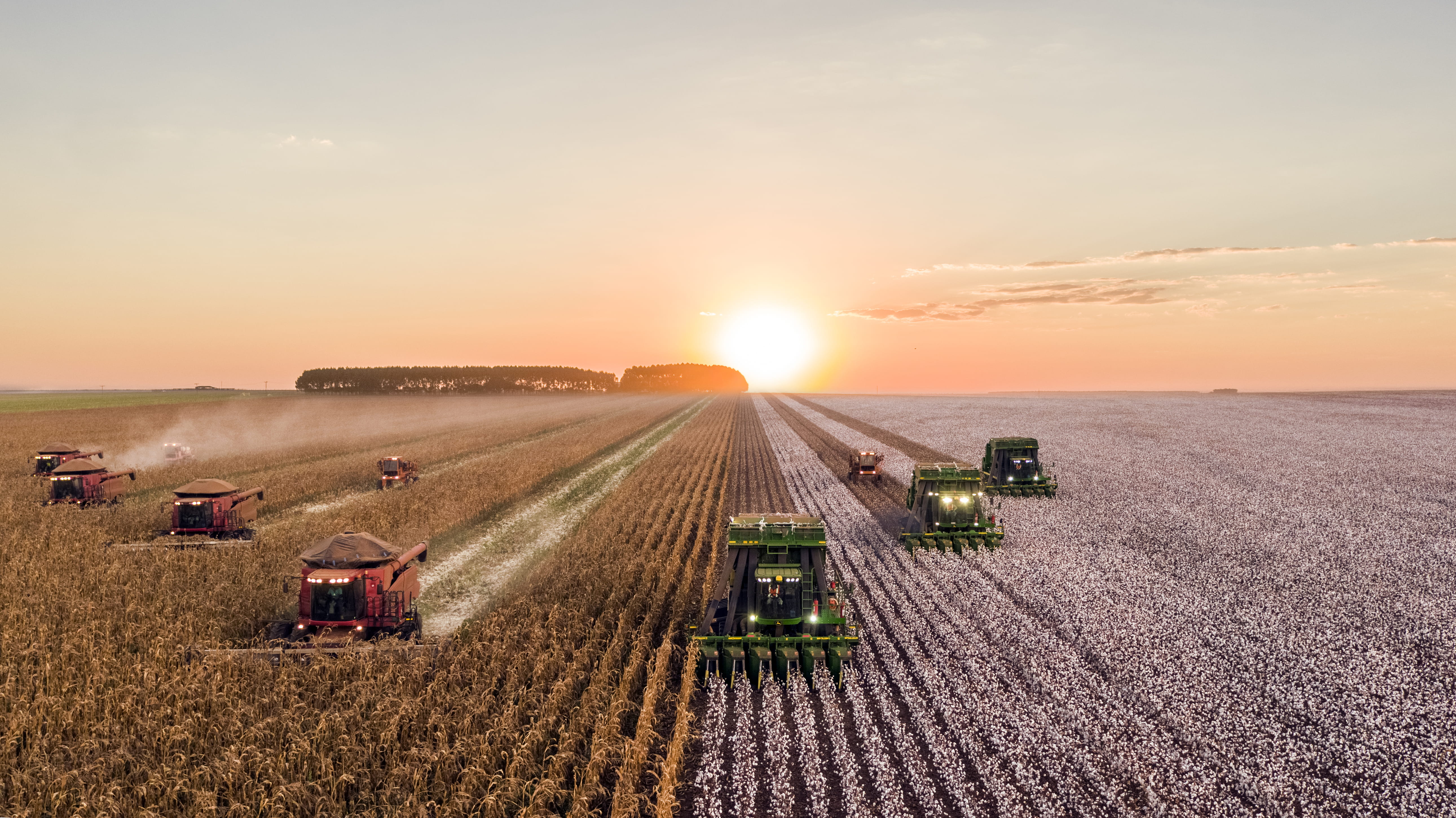 field, landscaped, nature, no People, non-Urban Scene, crop, sun, wildlife, industry, dusk, europe, growth, sunset, lot, farmland, rural Scene, sunrise, HD Wallpaper