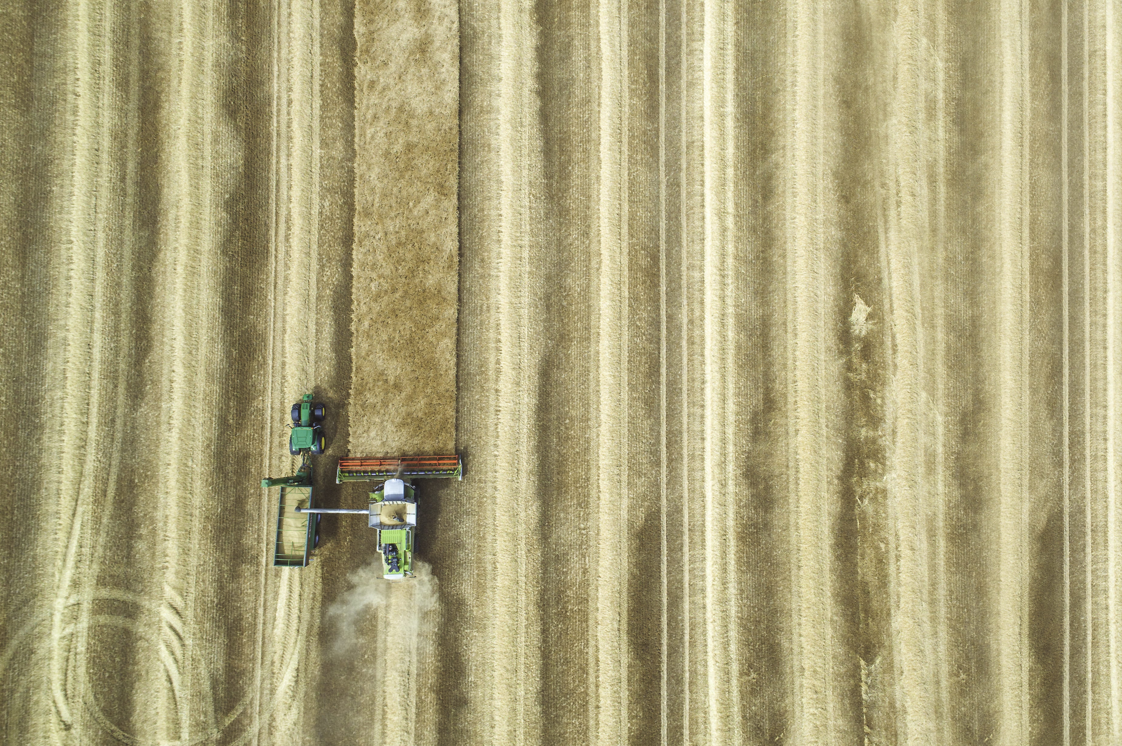 machinery, brown, photography, grass, working, rural scene, agriculture, land, wheat, farming, attachment, disc, day, occupation, view, crop, combine harvester, HD Wallpaper
