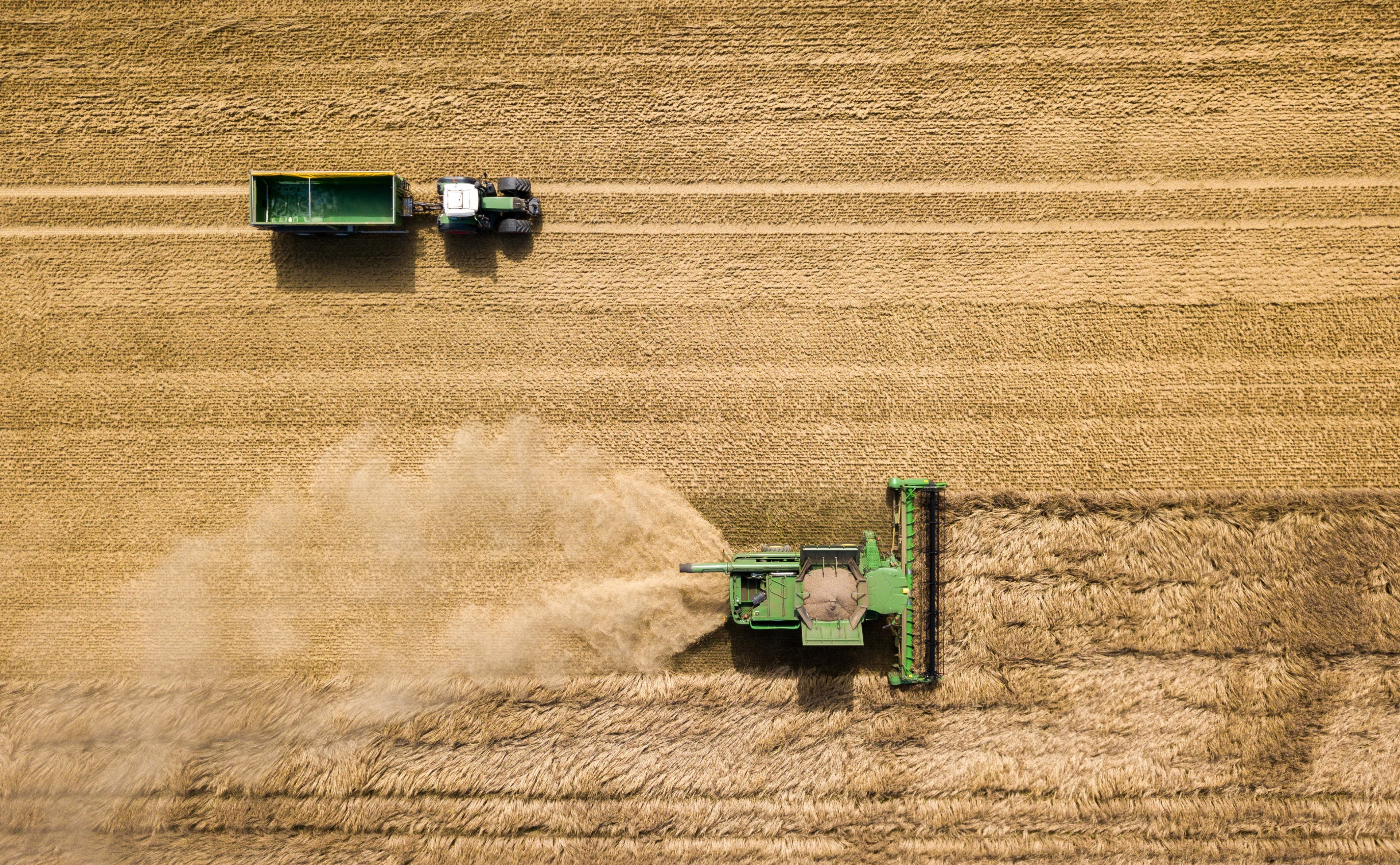 crop, outdoors, no people, rural scene, dji, growth, combine harvester, land, drone, agricultural equipment, harvest, aerial, day, Seasons, people, environment, HD Wallpaper