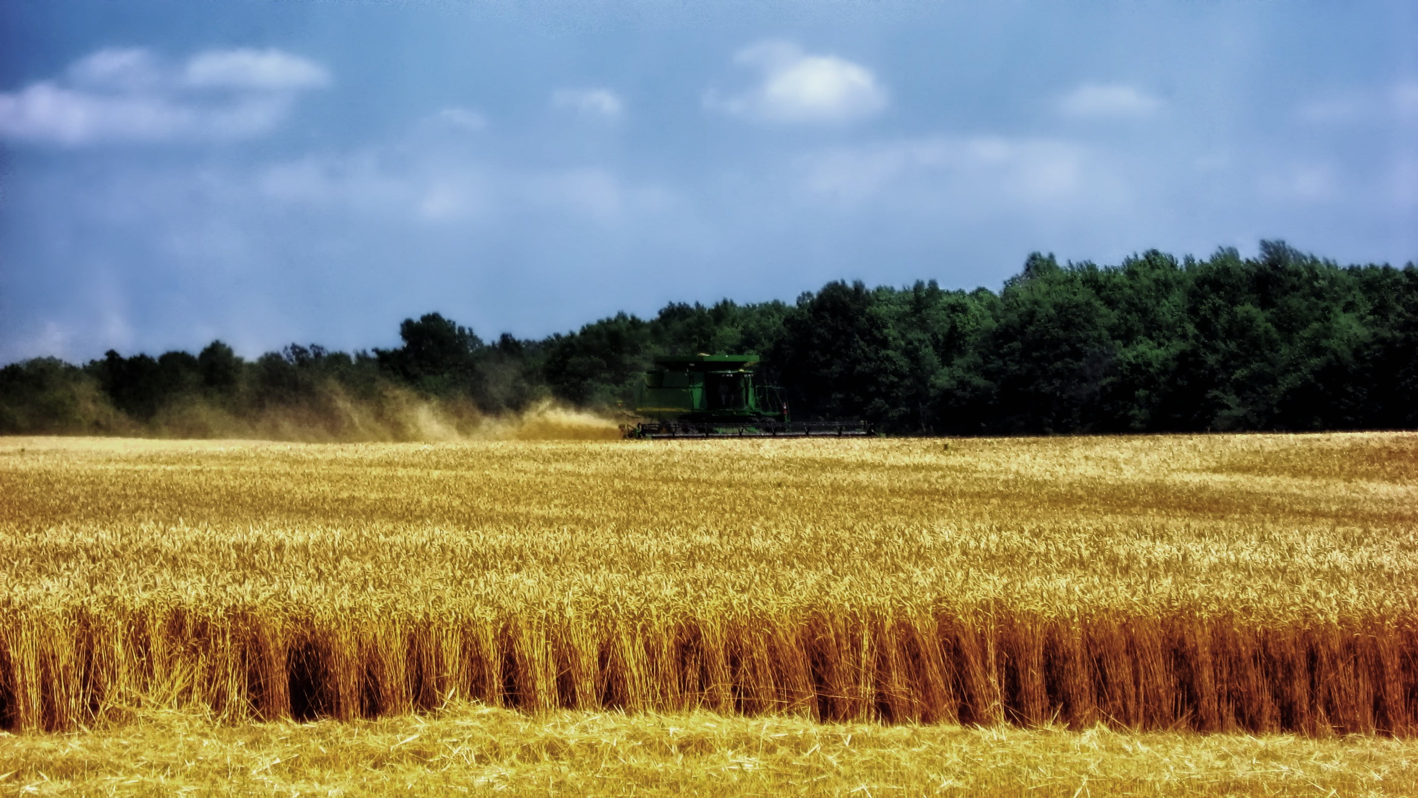 scenics - nature, plant, rural Scene, day, autumn, harvester, rural, cloud - sky, nature, landscaped, farm, landscape, farmland, no people, rice, tree, HD Wallpaper