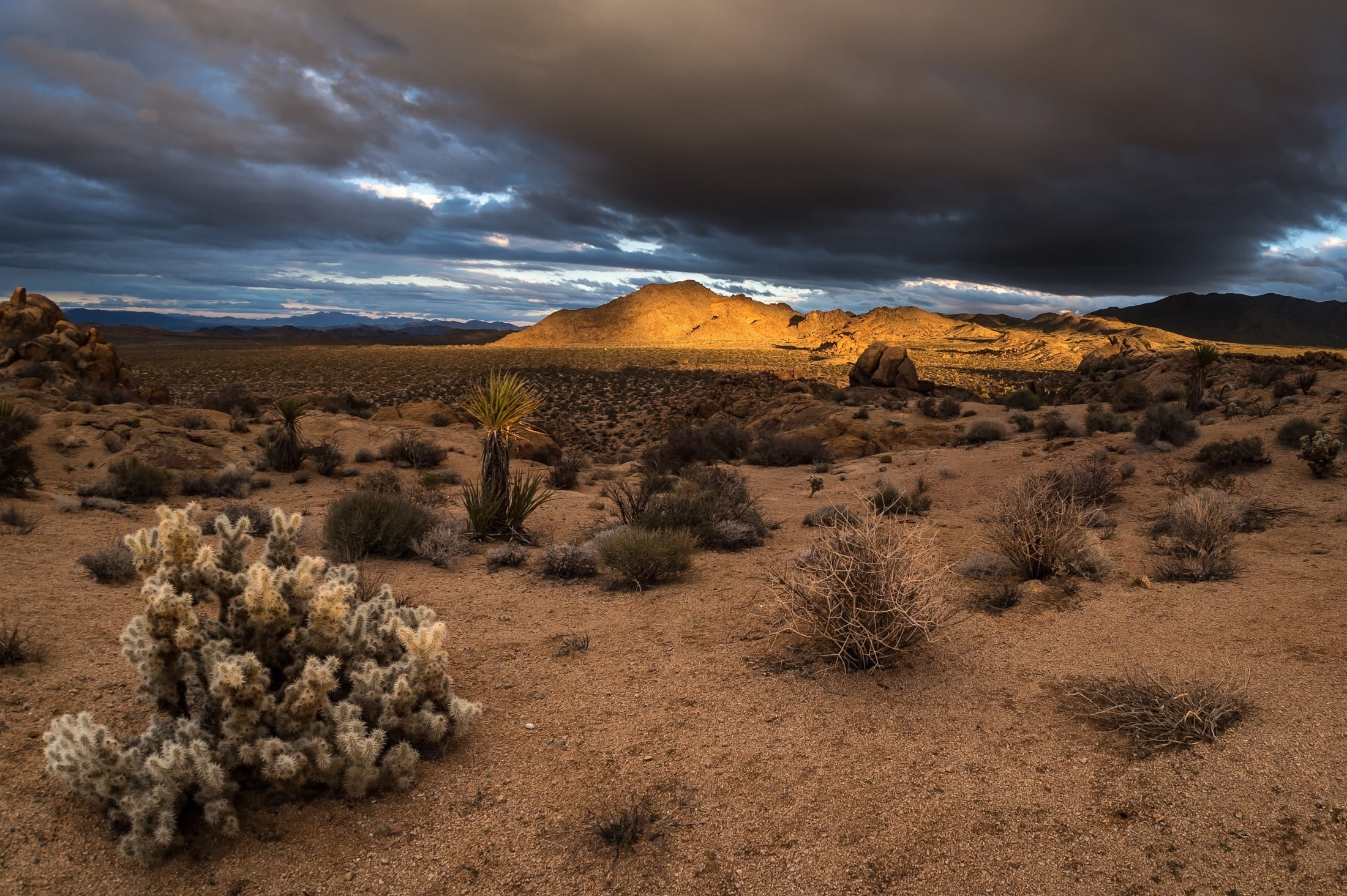 hills, mountain range, outdoors, plant, cloud - sky, climate, usa, evening, semi-arid, colorful, mountain, land, no people, environment, sunset, dry, mountains, HD Wallpaper