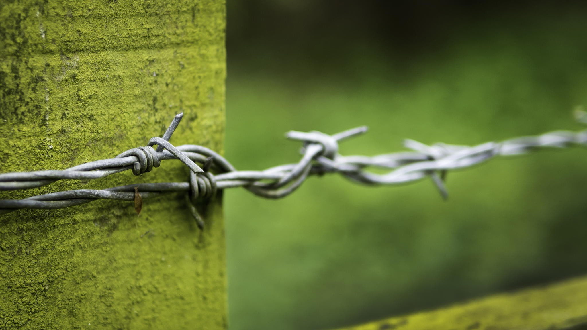 safety, no people, metal, wood, fence, wire, selective focus, green color, security, focus on foreground, nature, barrier, macro, barbed wire, photography, HD Wallpaper