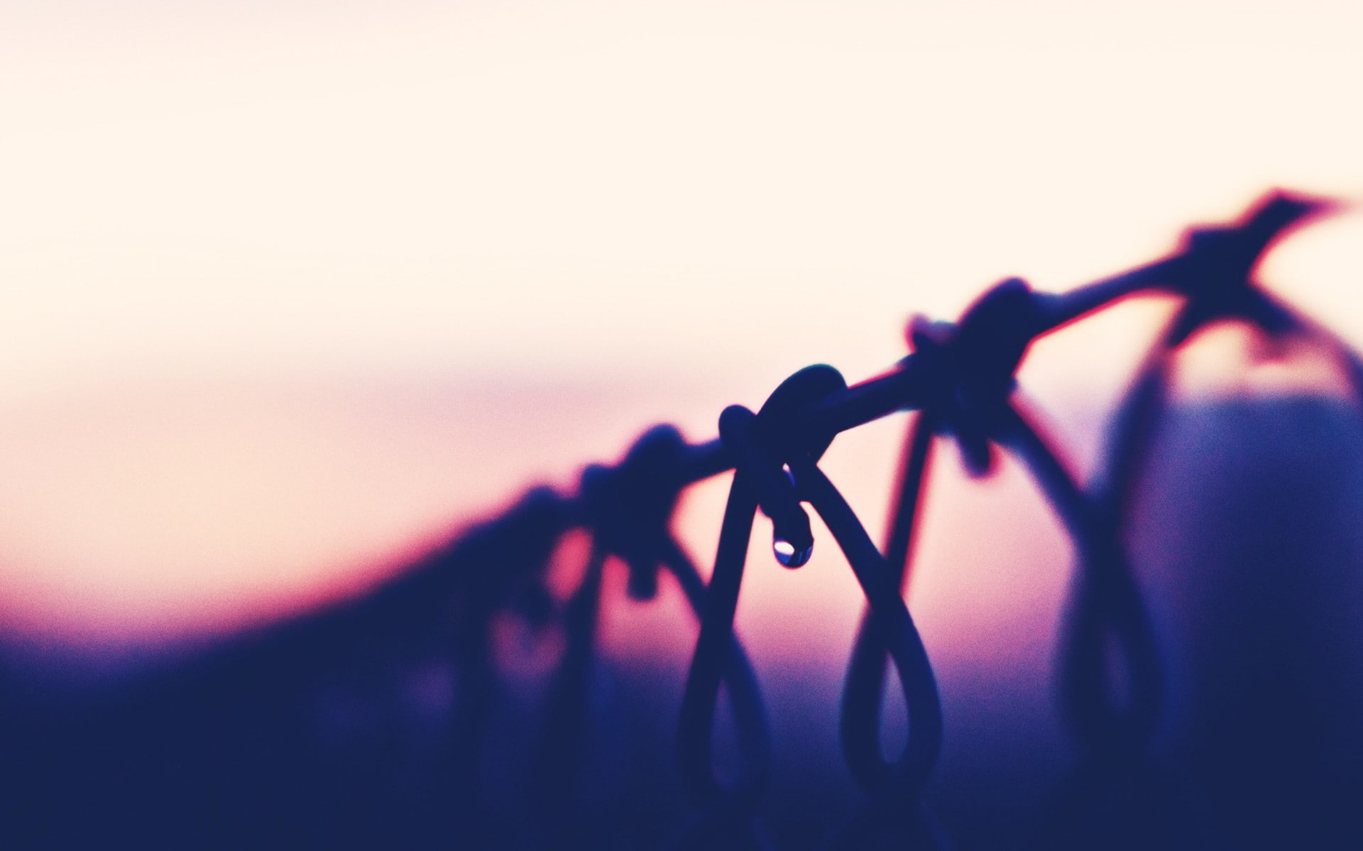 protection, nature, selective focus, boundary, copy space, wire, barrier, outdoors, silhouette, sky, closeup, close-up, clear sky, water drops, sunset, HD Wallpaper