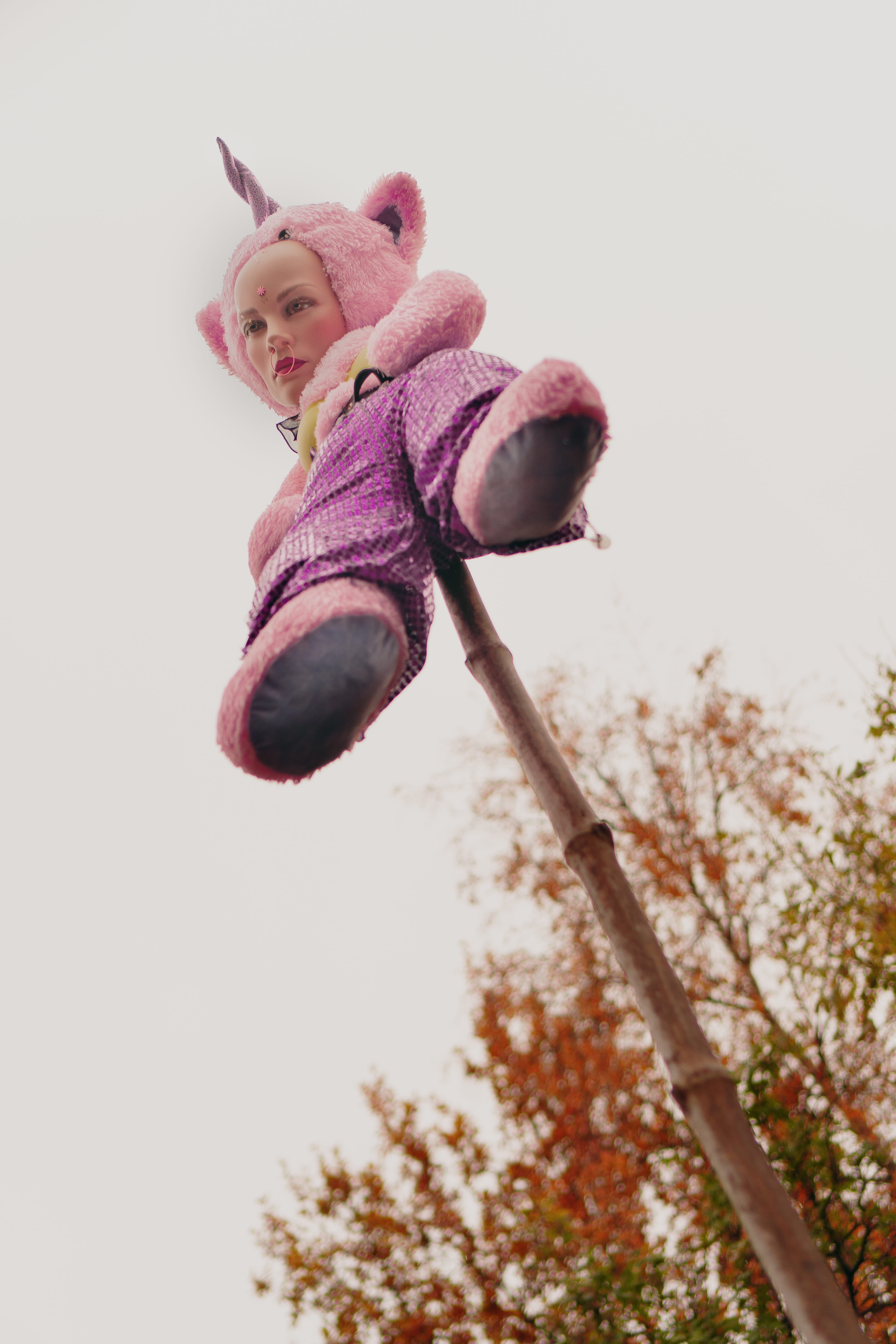 nature, bear, stuffed toy, copy space, struck, outdoors, plant, sky, childhood, full length, pink color, spear, child, outdoor, plush, tree, low angle view, Phone HD Wallpaper