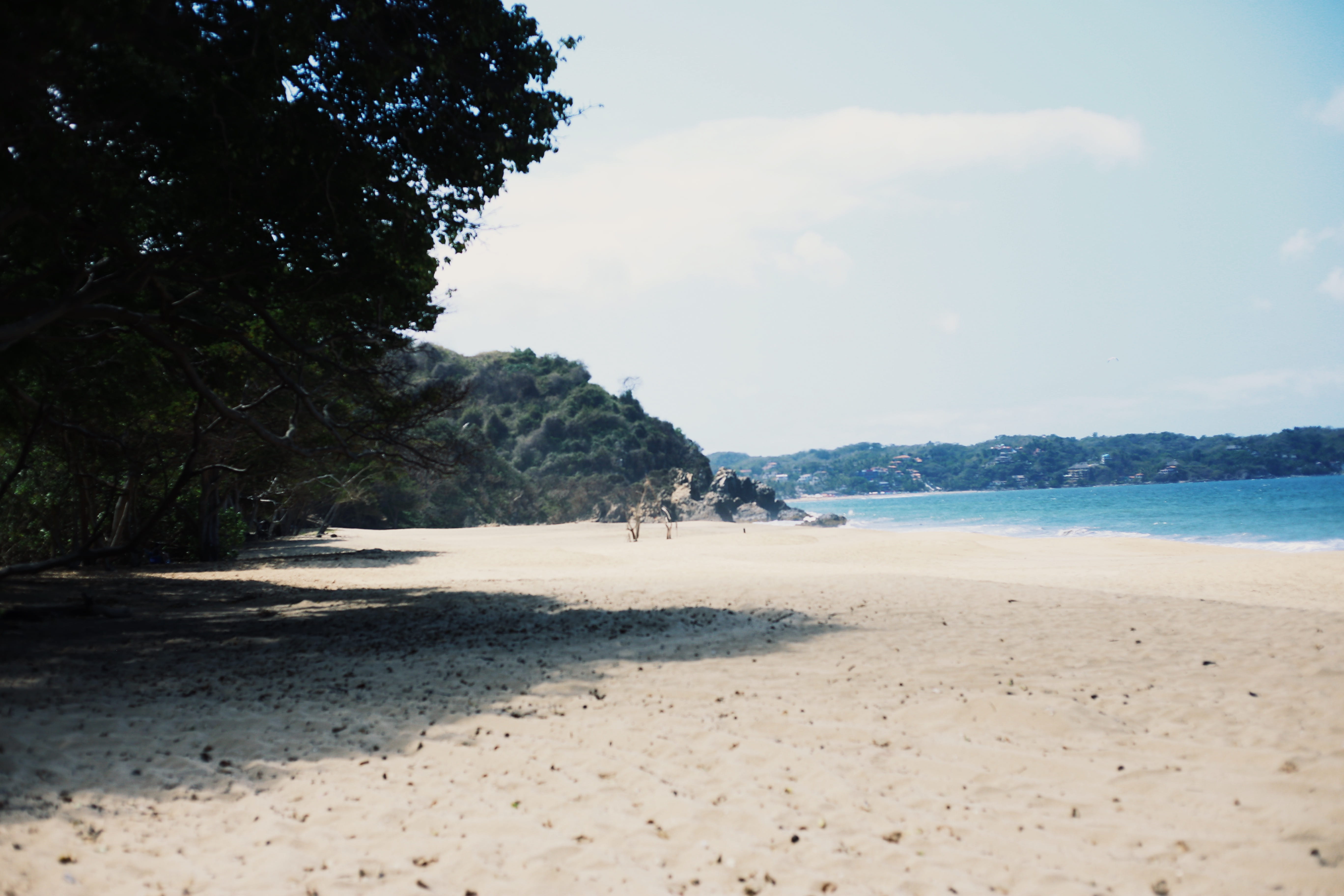 san francisco, 5K, ocean, plant, tranquility, sand, mexico, scenics - nature, beach, outdoors, sky, nature, san francisco nayarit, beauty in nature, lagune, HD Wallpaper