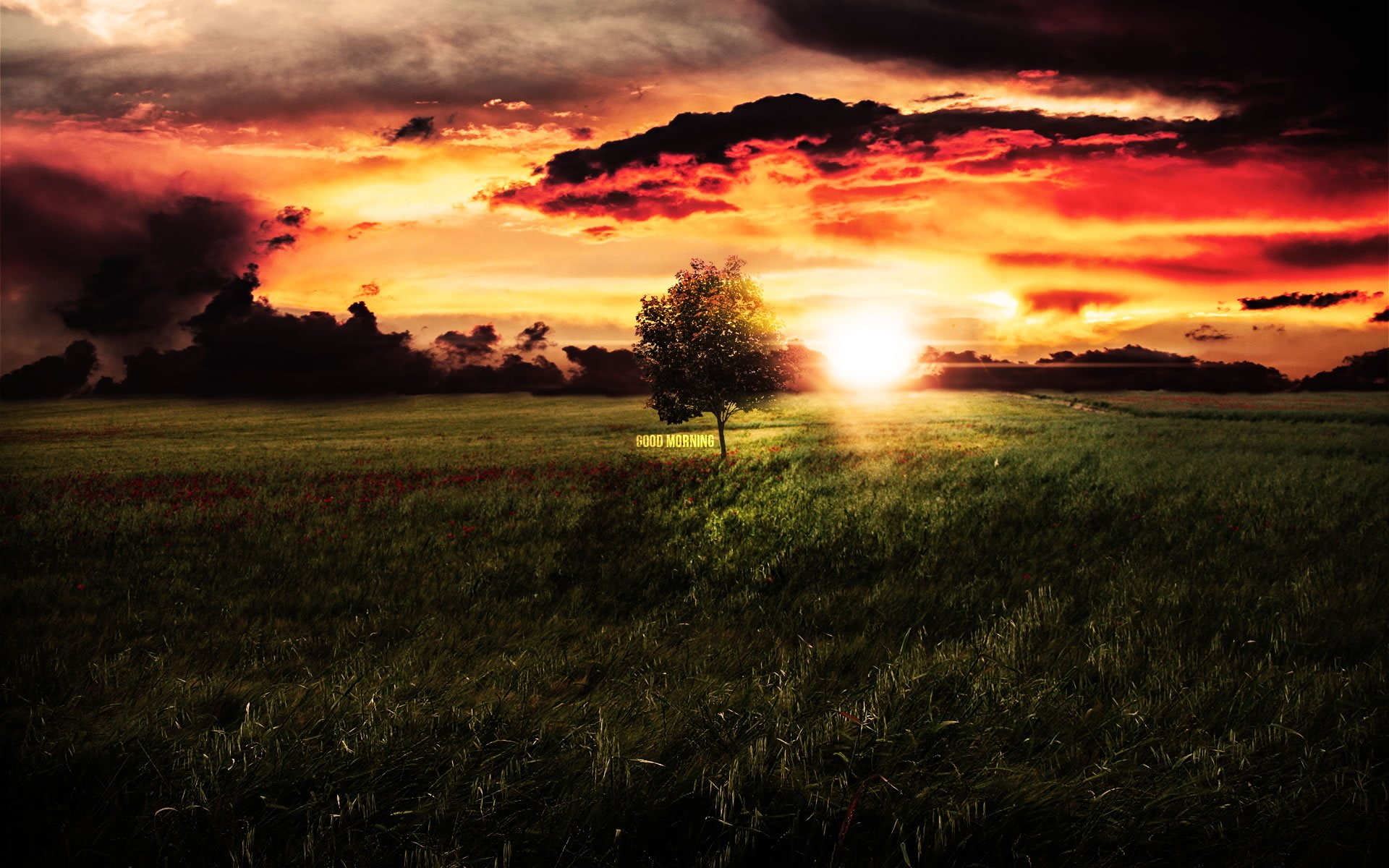 morning, good, mood, motivational, 1080P, HD Wallpaper
