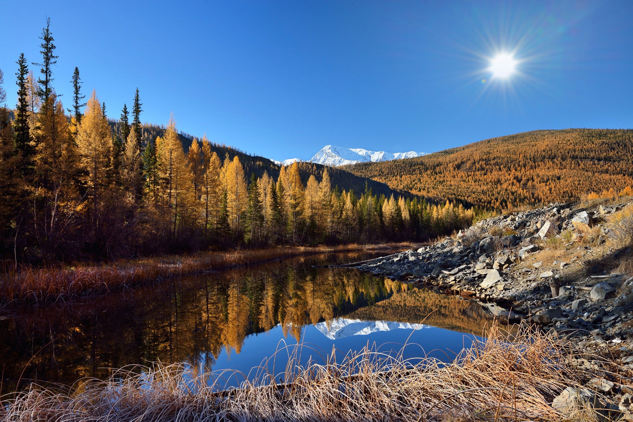 good morning, morning, Autumn, 1080P, Altai, lake, beside, forest, HD Wallpaper