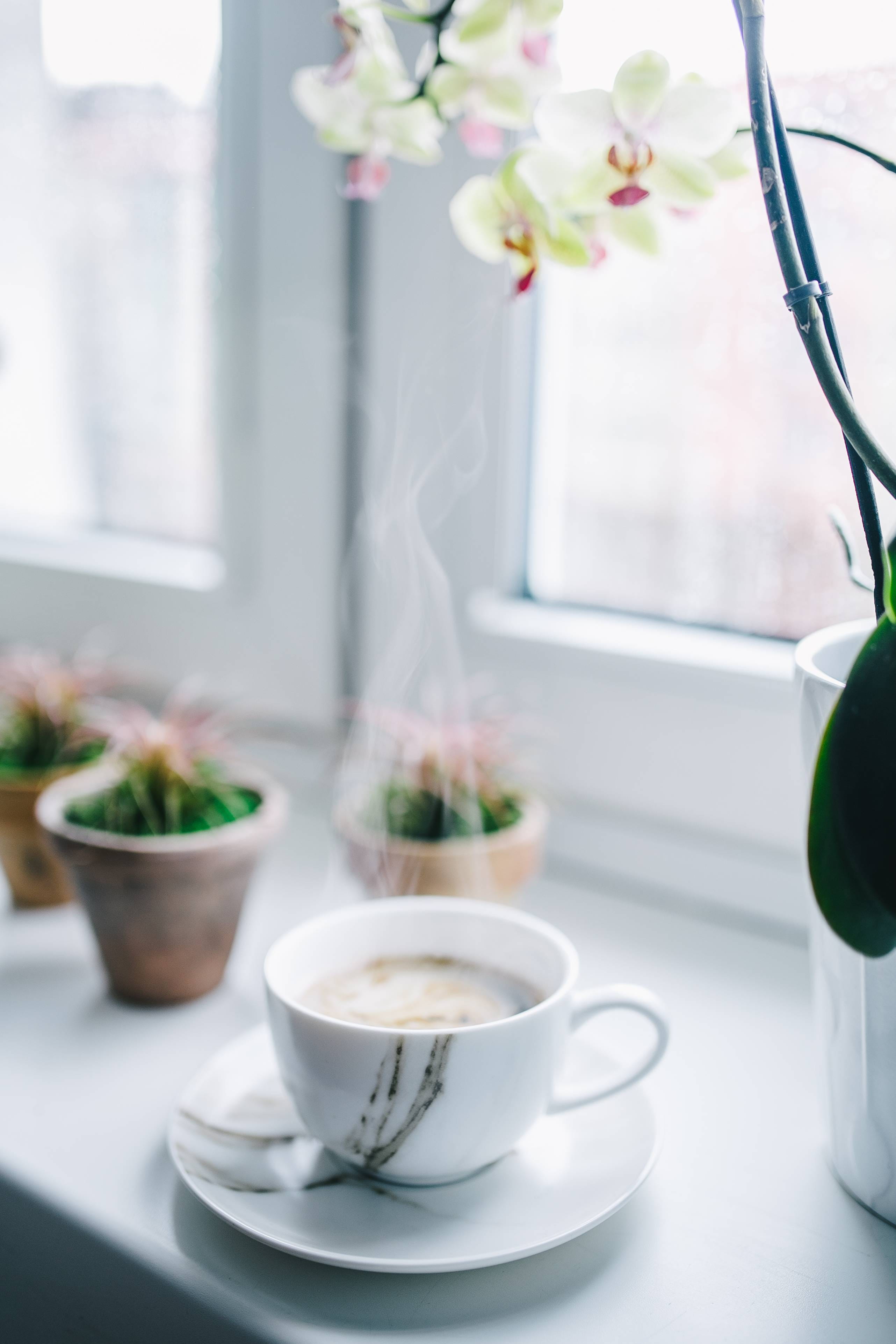 flowering plant, nature, espresso, cafe, indoors, Cup of coffee, coffee, no People, morning, tea - Hot Drink, vase, cappucino, beauty in nature, flower, Phone HD Wallpaper