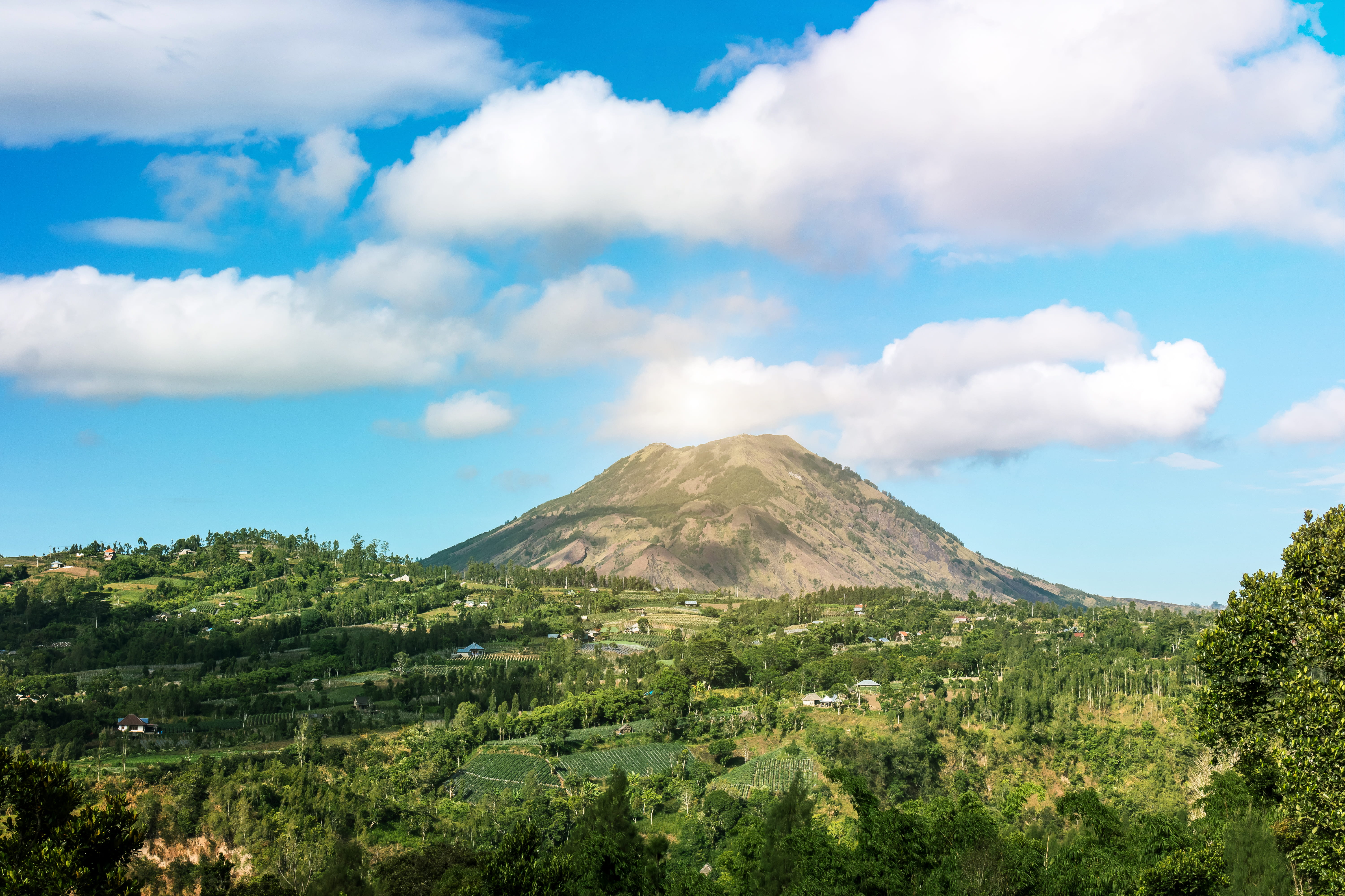 tree, asia, 5K, mountain peak, nature, batur, sky, no people, outdoors, daylight, tranquil scene, scenics - nature, mountain, bali, landscape, green color, HD Wallpaper