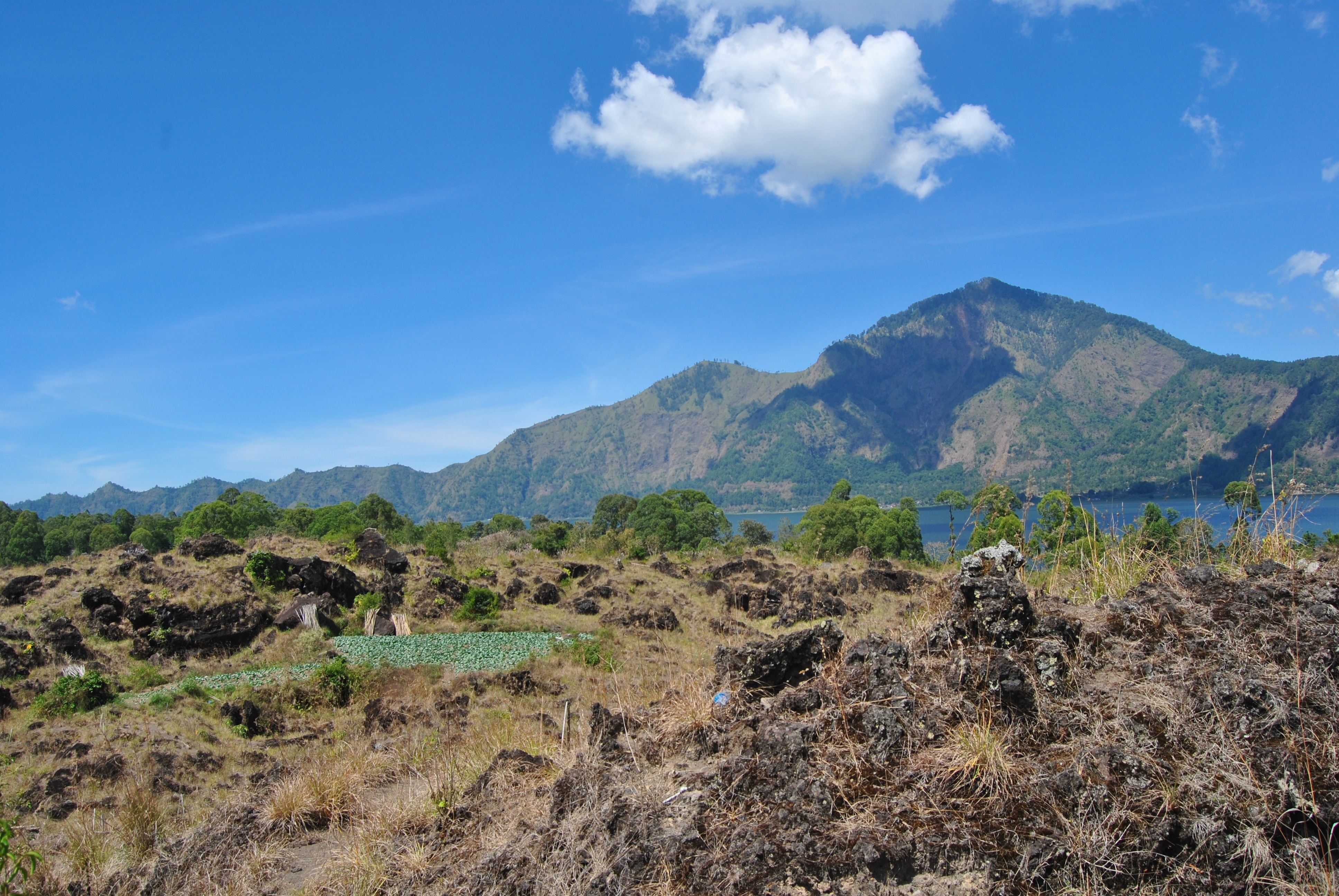 asia, blue, semi-arid, no people, nature, beauty in nature, tranquility, scenics - nature, tourism, tree, day, landscape, kintamani, travel, mountain, batur, HD Wallpaper