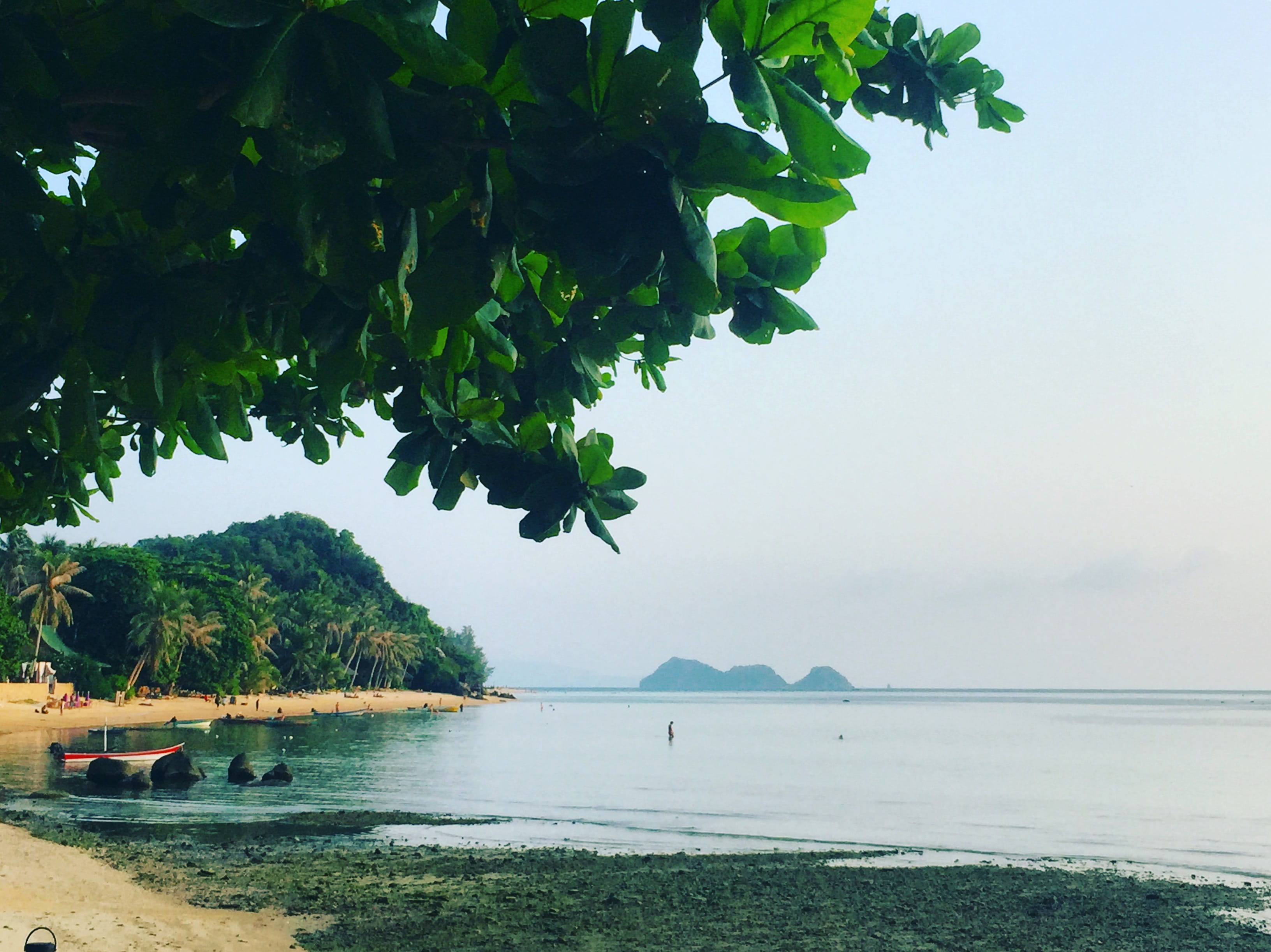 plant part, paradise, vacation, 2K, thailand, sky, mountain, nature, tranquility, swim, land, leaf, seashore, outdoors, beach, chill, tambon ko pha-ngan, HD Wallpaper