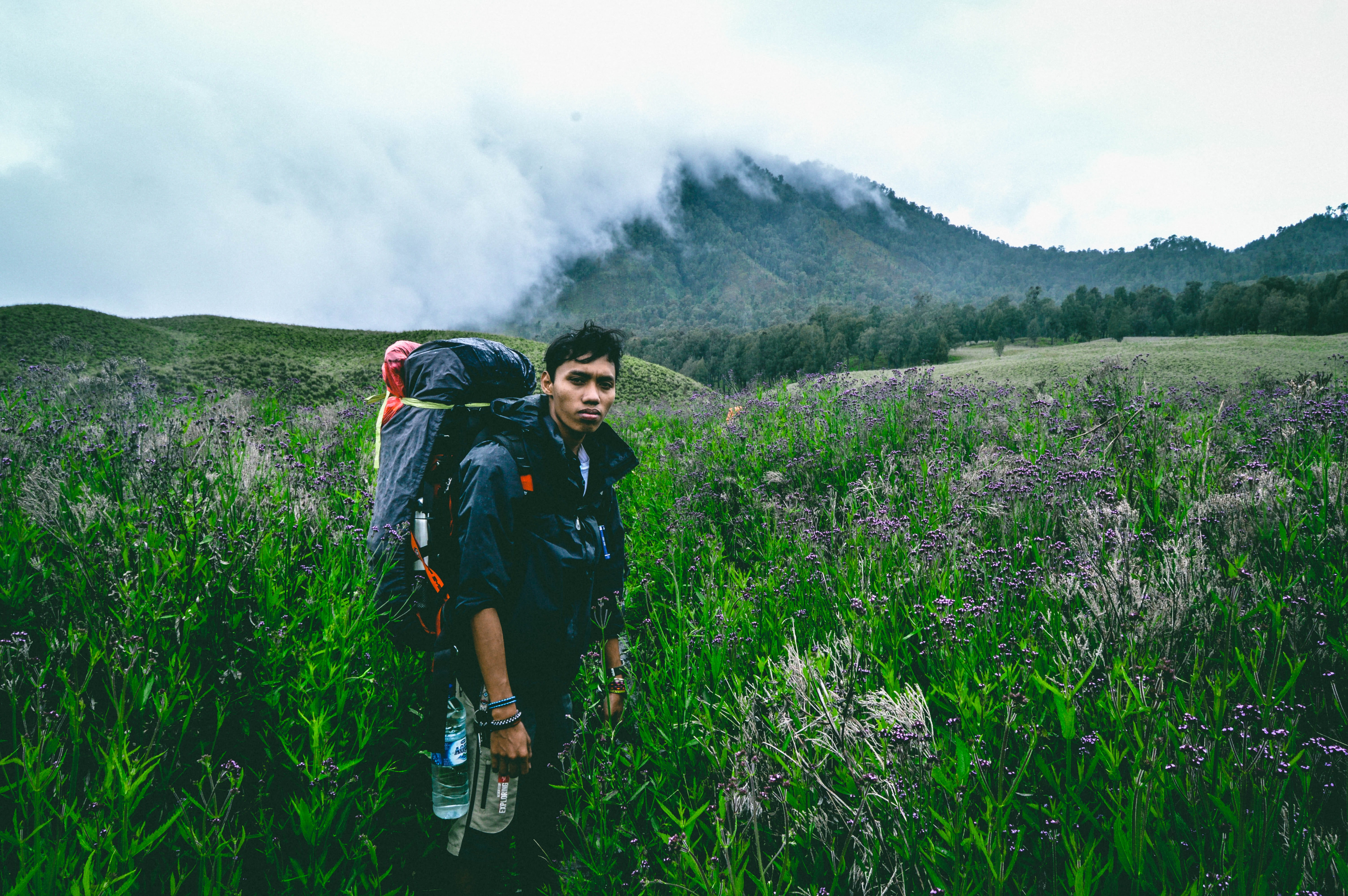 young adult, real people, indonesia, 5K, green color, plant, lifestyles, growth, field, land, mountain, outdoors, standing, nature, beauty in nature, flower, HD Wallpaper