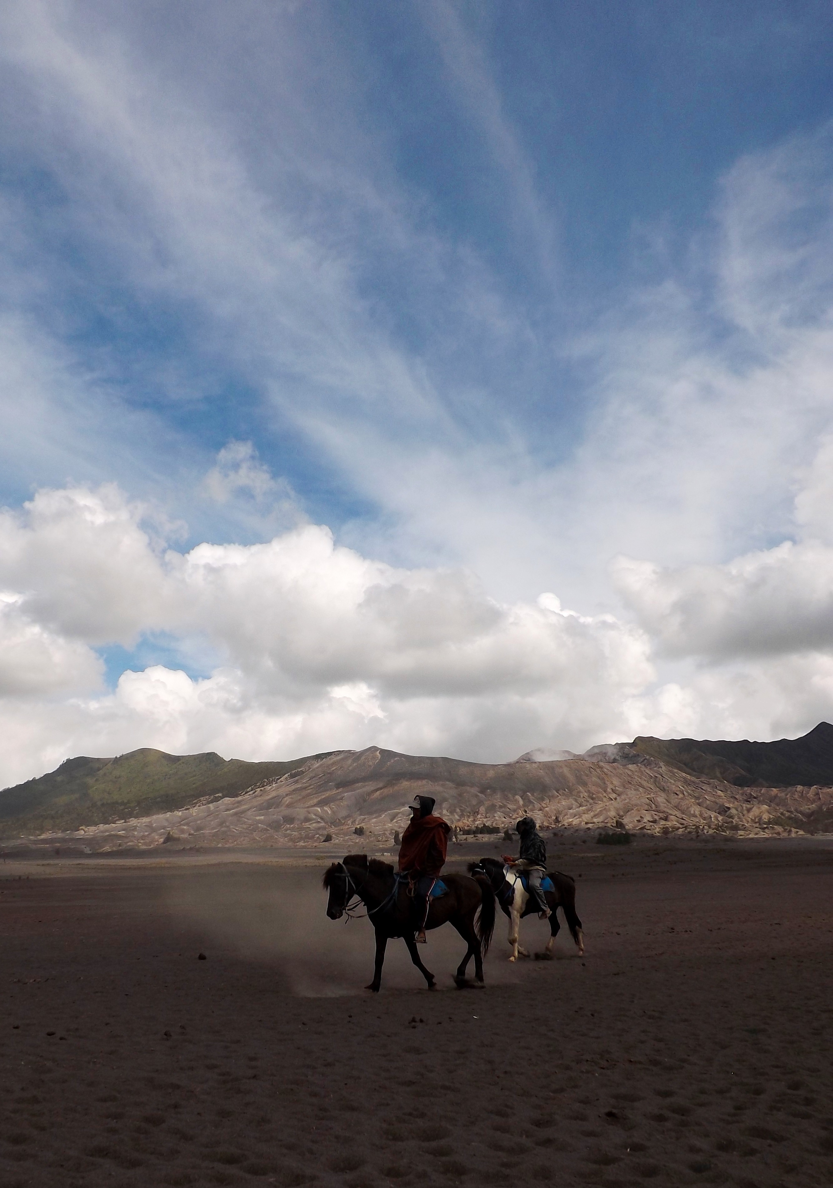 land, famous, bromo, animal wildlife, beautiful, climate, cloud - sky, detisnations, nature, livestock, people, arid climate, vertebrate, mammal, animal themes, Phone HD Wallpaper