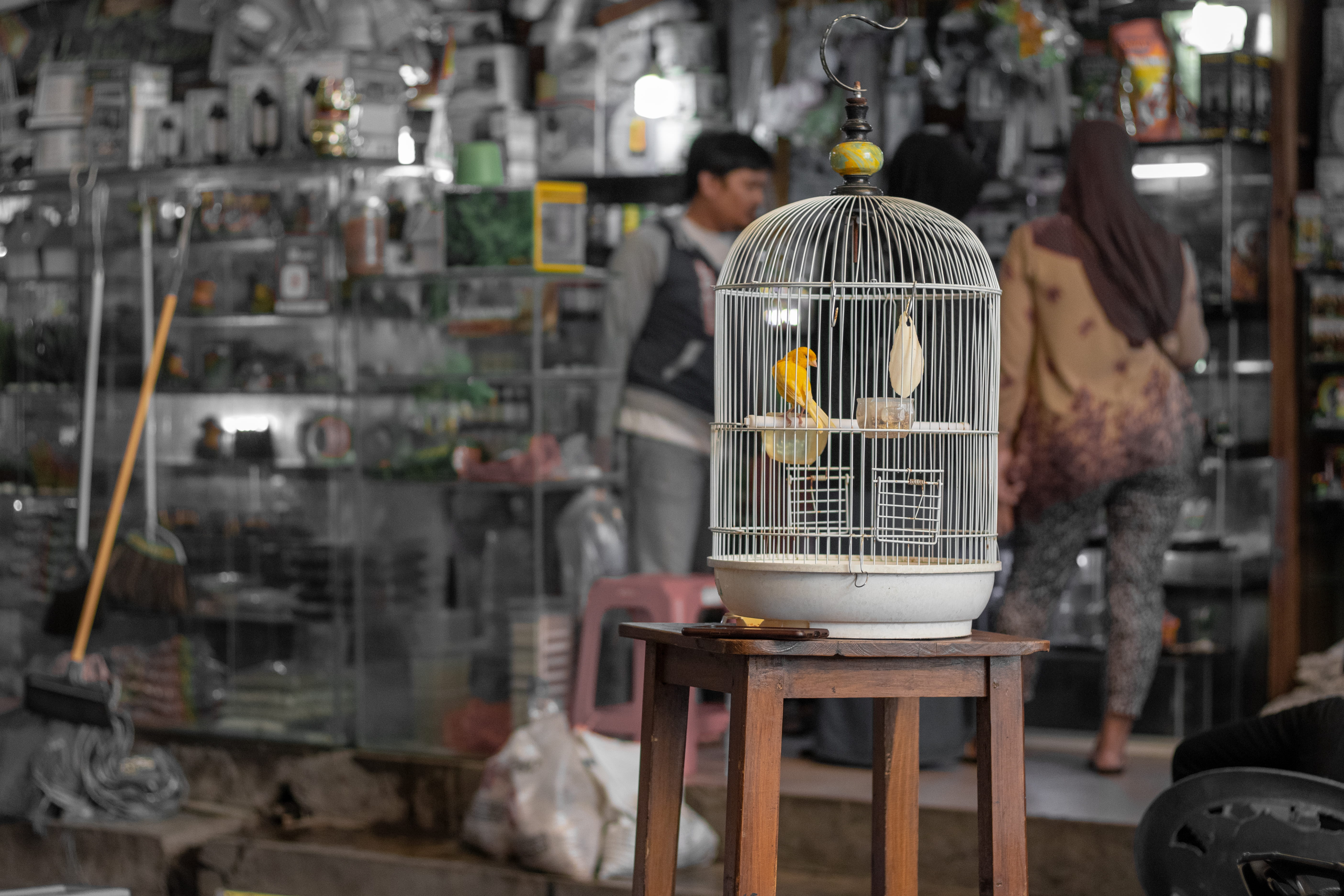 gunung sari, still life, day, bazaar, lighting equipment, birdcage, seat, business, electric lamp, close-up, surabaya, pasar ikan hias gunung sari, metal, HD Wallpaper