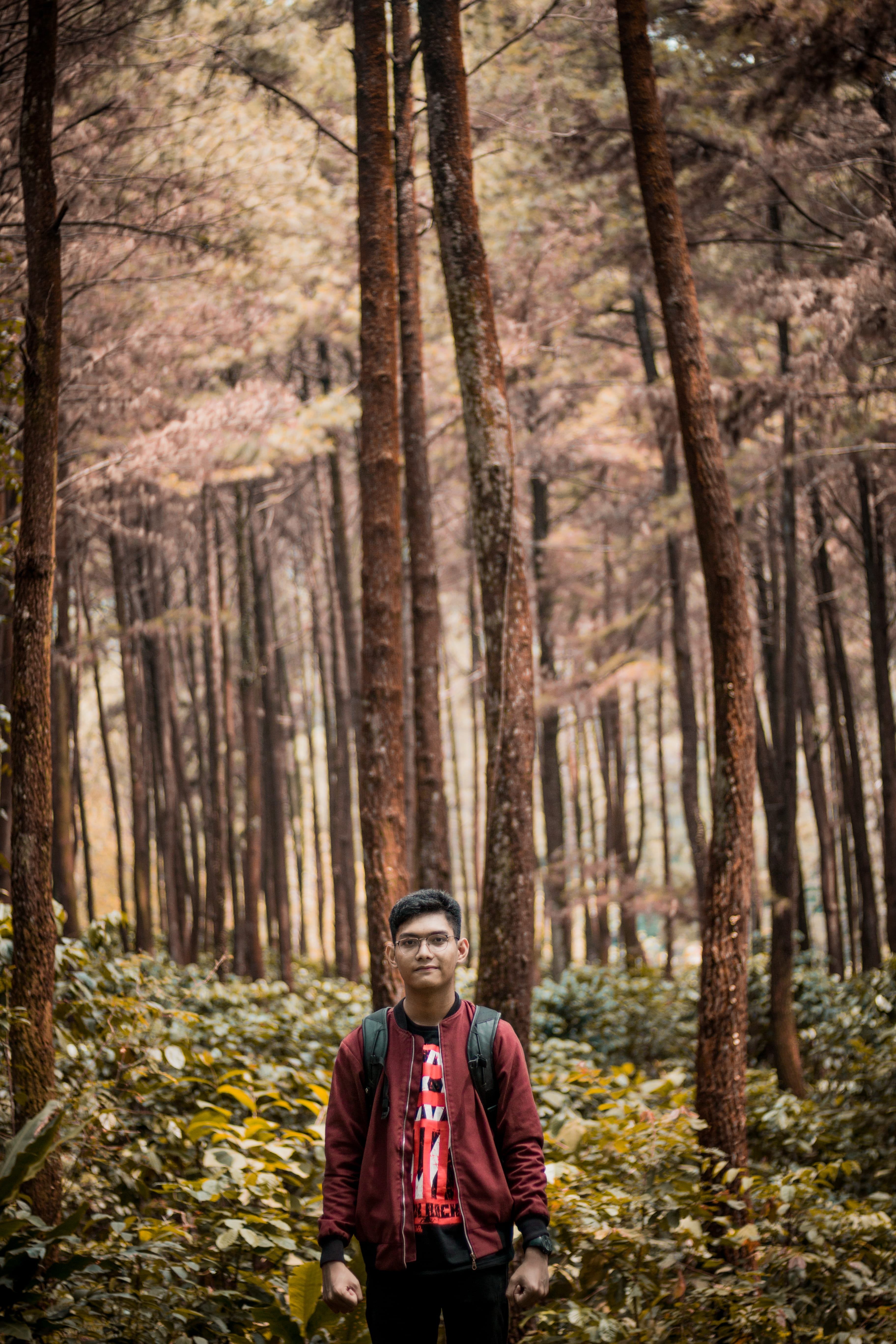 outdoors, land, plant, my self, trunk, front view, real people, bogor, forest, person, looking at camera, clothing, indonesia, lifestyles, portrait, trees, Phone HD Wallpaper