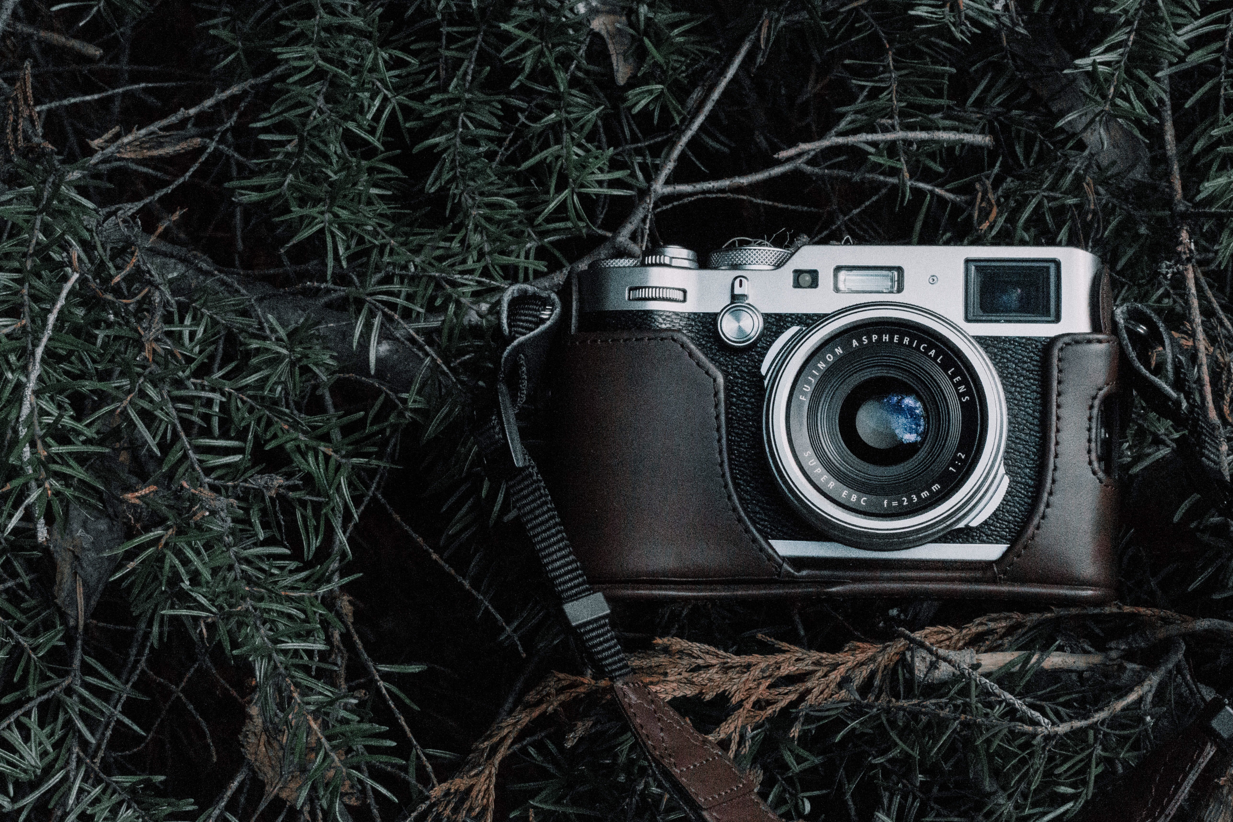 exploring, film camera, vintage, forest, photograph, 5K, pine, tree, no People, vinatge, black Color, camera gear, background, flatlay, antique, foliage, HD Wallpaper