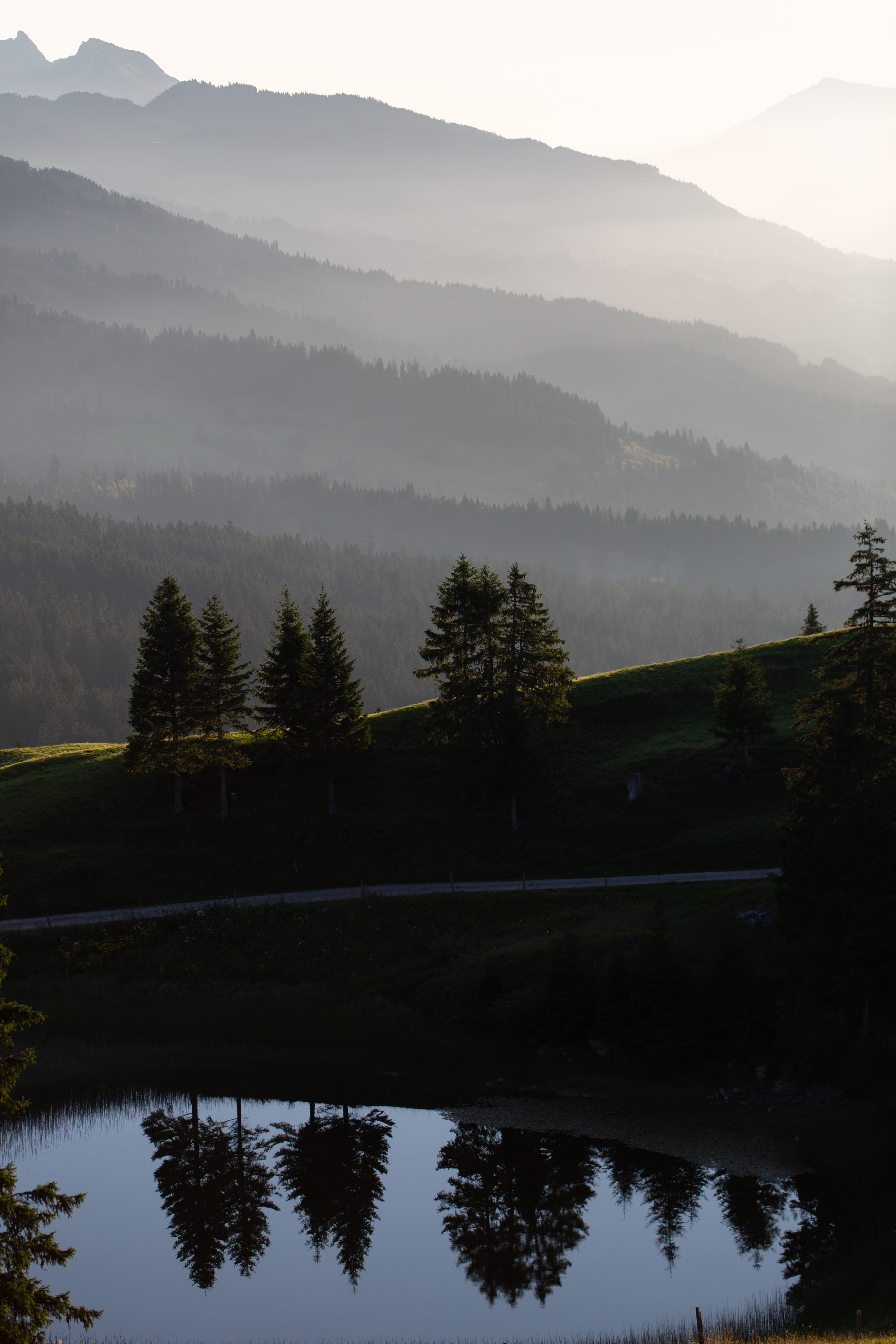 outdoors, plant, scenics - nature, sun, sky, mountain, reflection lake, hazy, 5K, nature, dawn, wood, no people, morning, tree, growth, dust, idyllic, Phone HD Wallpaper
