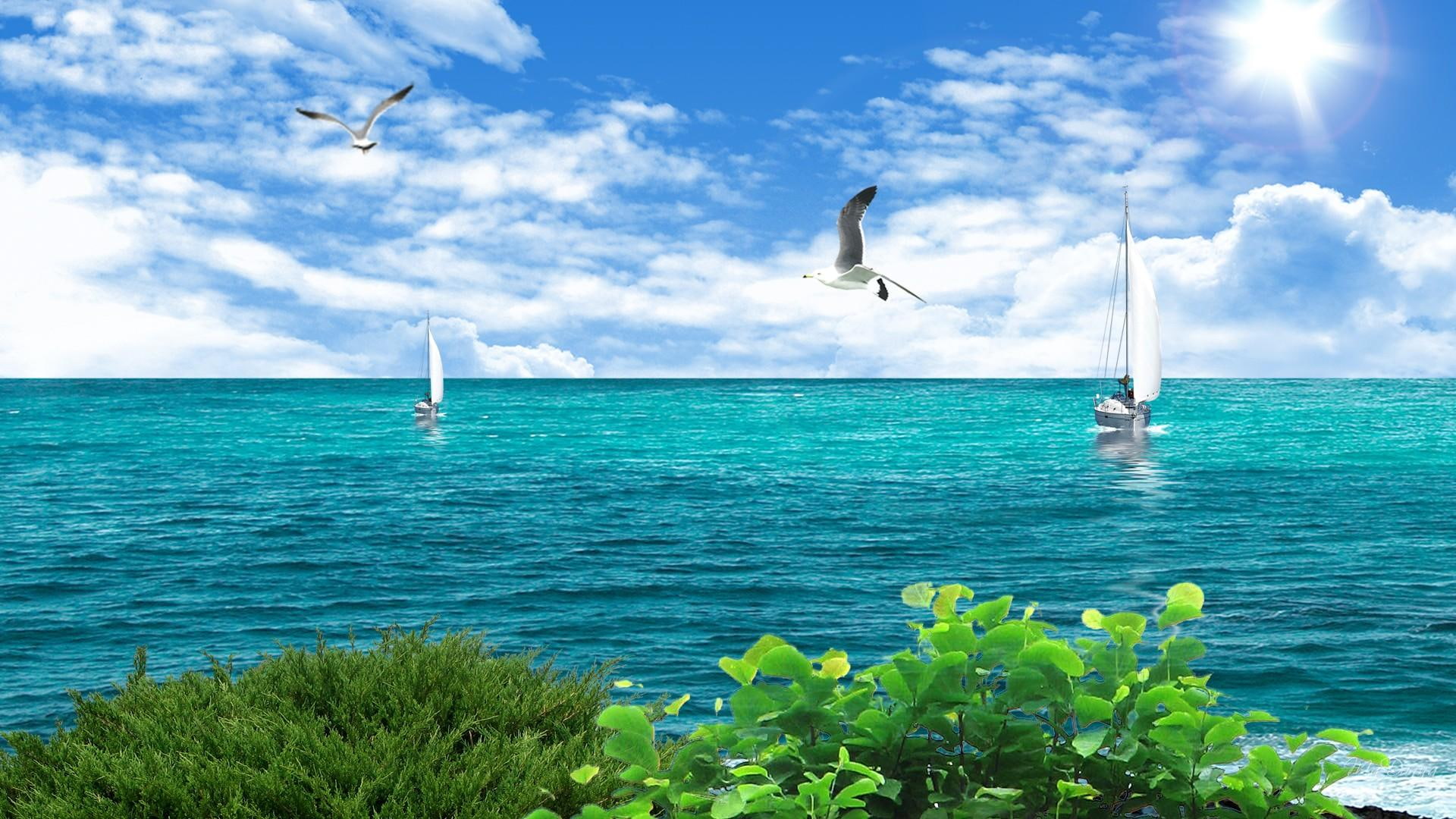 coulds, sun shine, ocean, 1080P, beach, 3d and abstract, sunday, sailing, sail, firefox persona, sail boats, HD Wallpaper