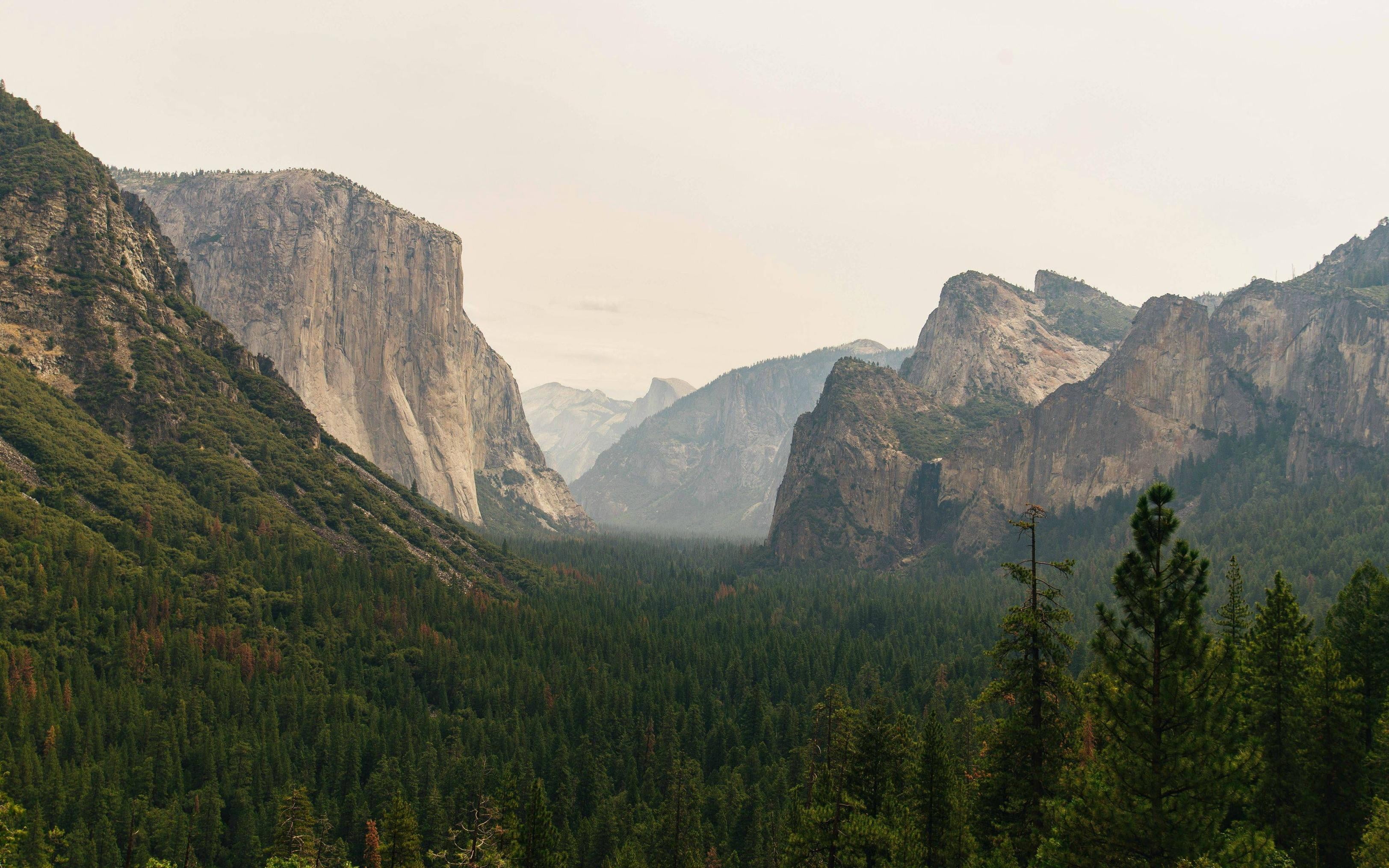 trees, formation, landscape, non-urban scene, mountain range, sky, rock, capitan, 2K, summit, tranquility, no people, land, pine tree, nature, idyllic, HD Wallpaper