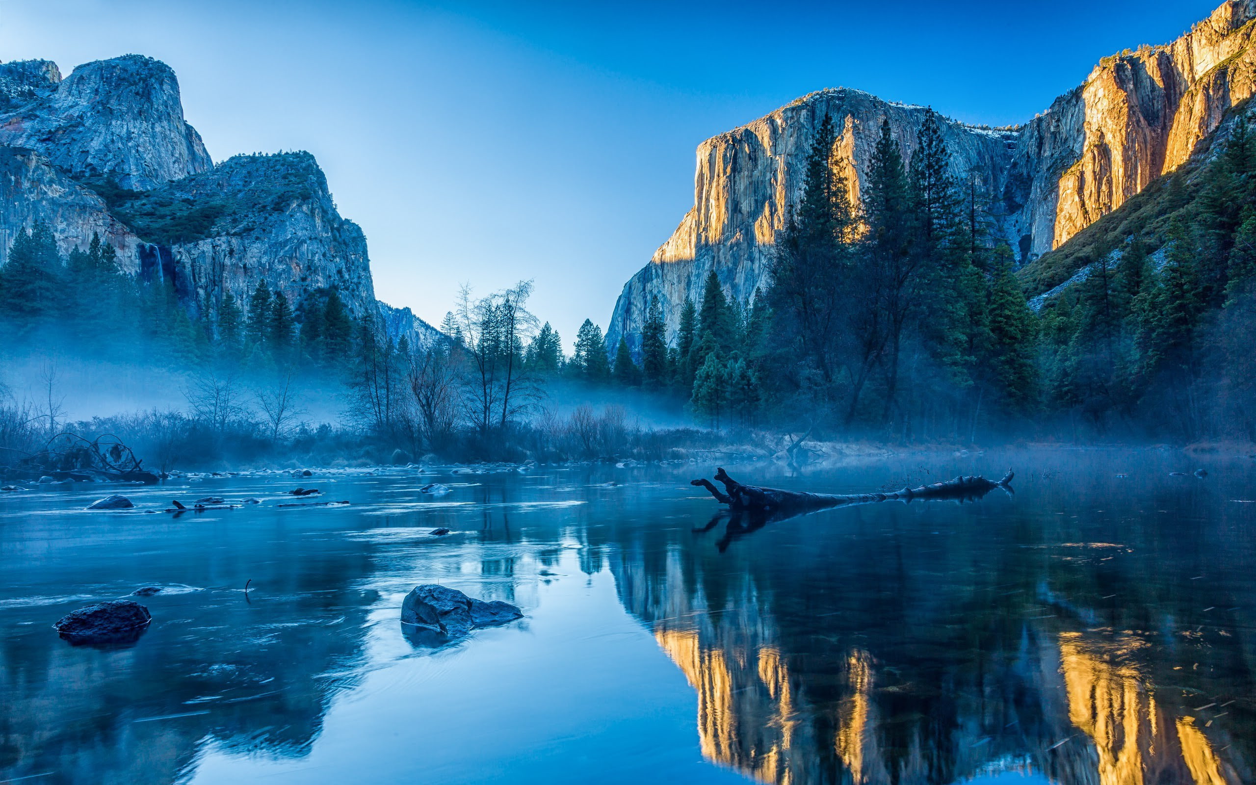 idyllic, no people, rock - object, solid, landscape, nature, water, pine tree, ice, rock, sky, outdoors, environment, beauty in nature, tranquil scene, HD Wallpaper