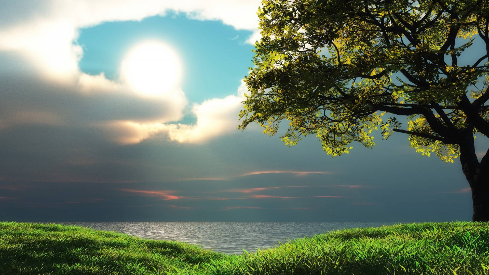 water, idyllic, celestial body, tranquil scene, nature, cloud, sun, no people, light, orange, clouds, tree, 1080P, morning, scenery, atmosphere, cloud - sky, HD Wallpaper