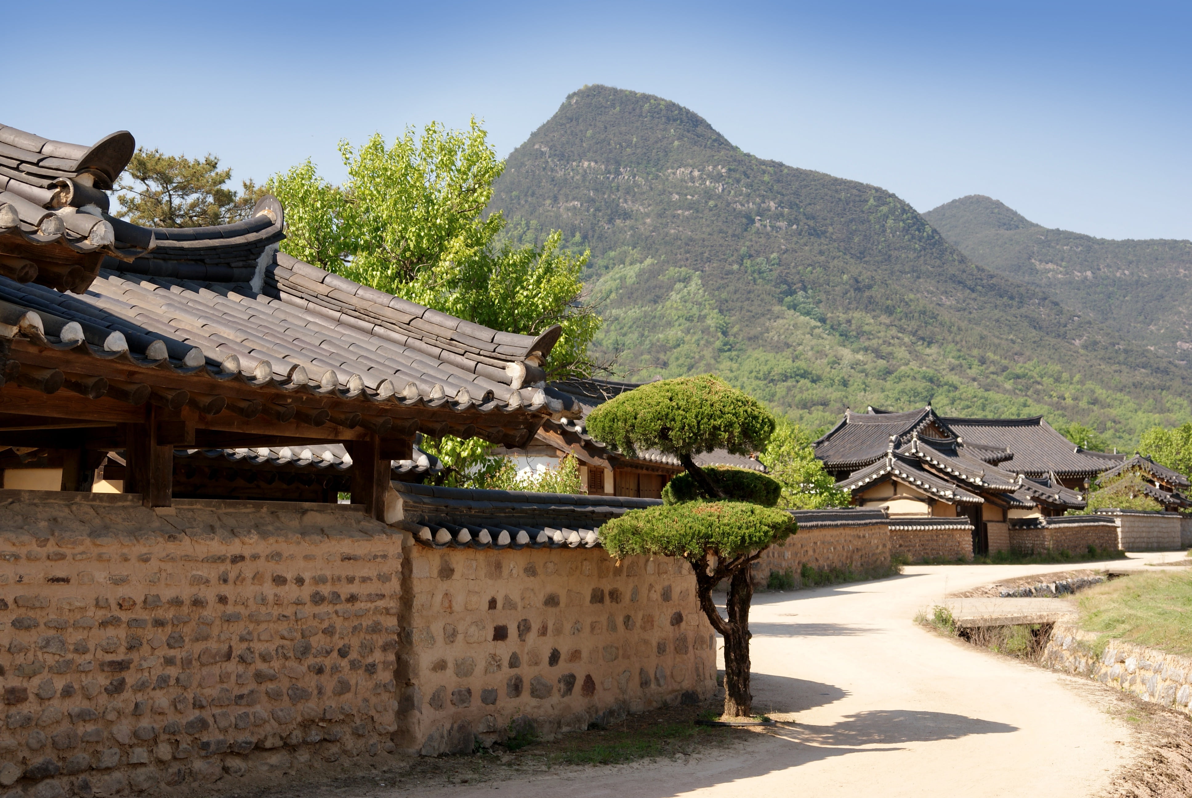military top, plant, hanok, eaves, outdoors, built structure, photo, asia, sky, architecture, blue, ancient civilization, 4K, roof, famous Place, travel destinations, HD Wallpaper