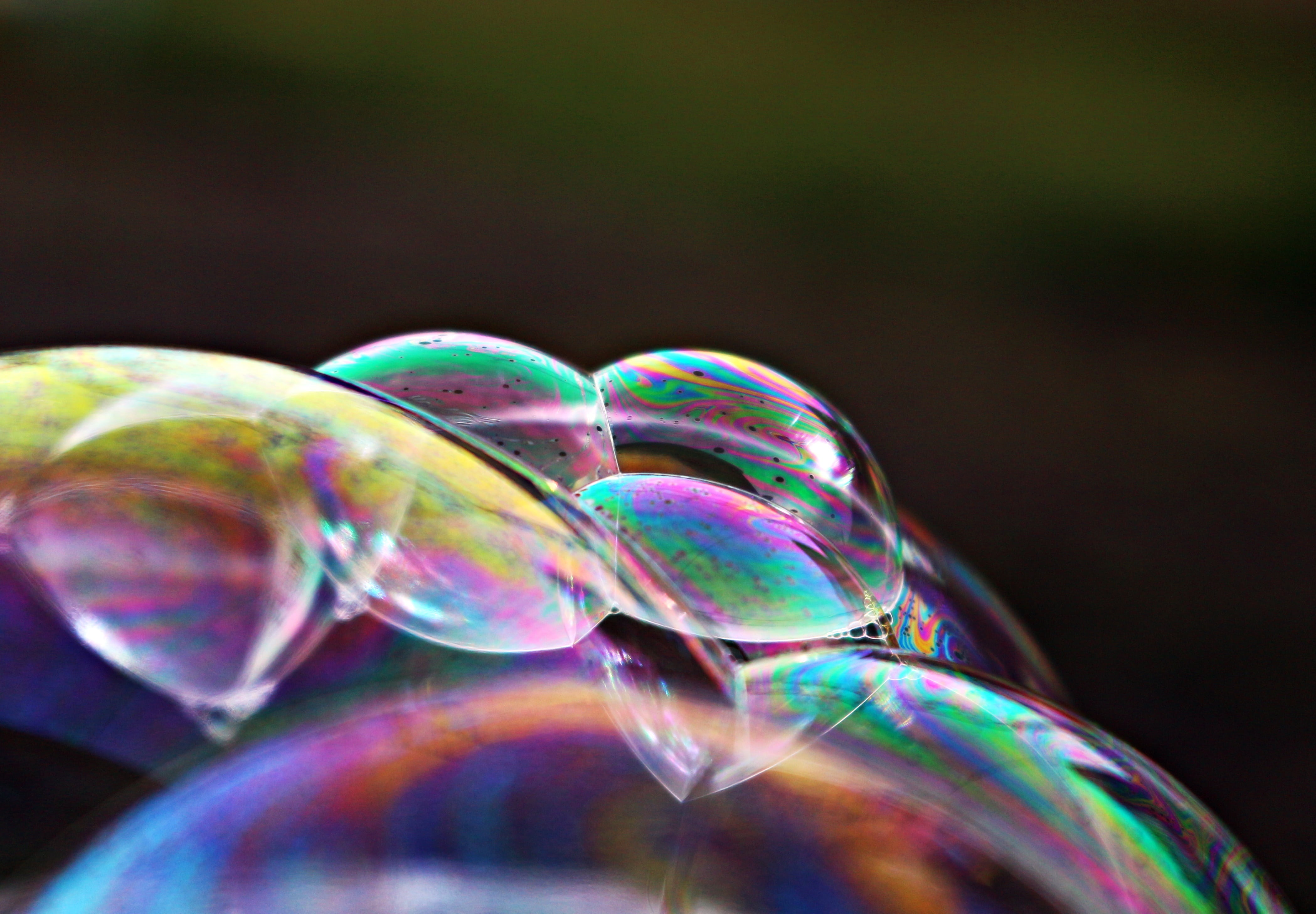 soap sud, spectrum, studio shot, bubble, black background, vulnerability, rainbow, soap bubble, iridescent, color, abstract, transparent, lightweight, shiny, HD Wallpaper