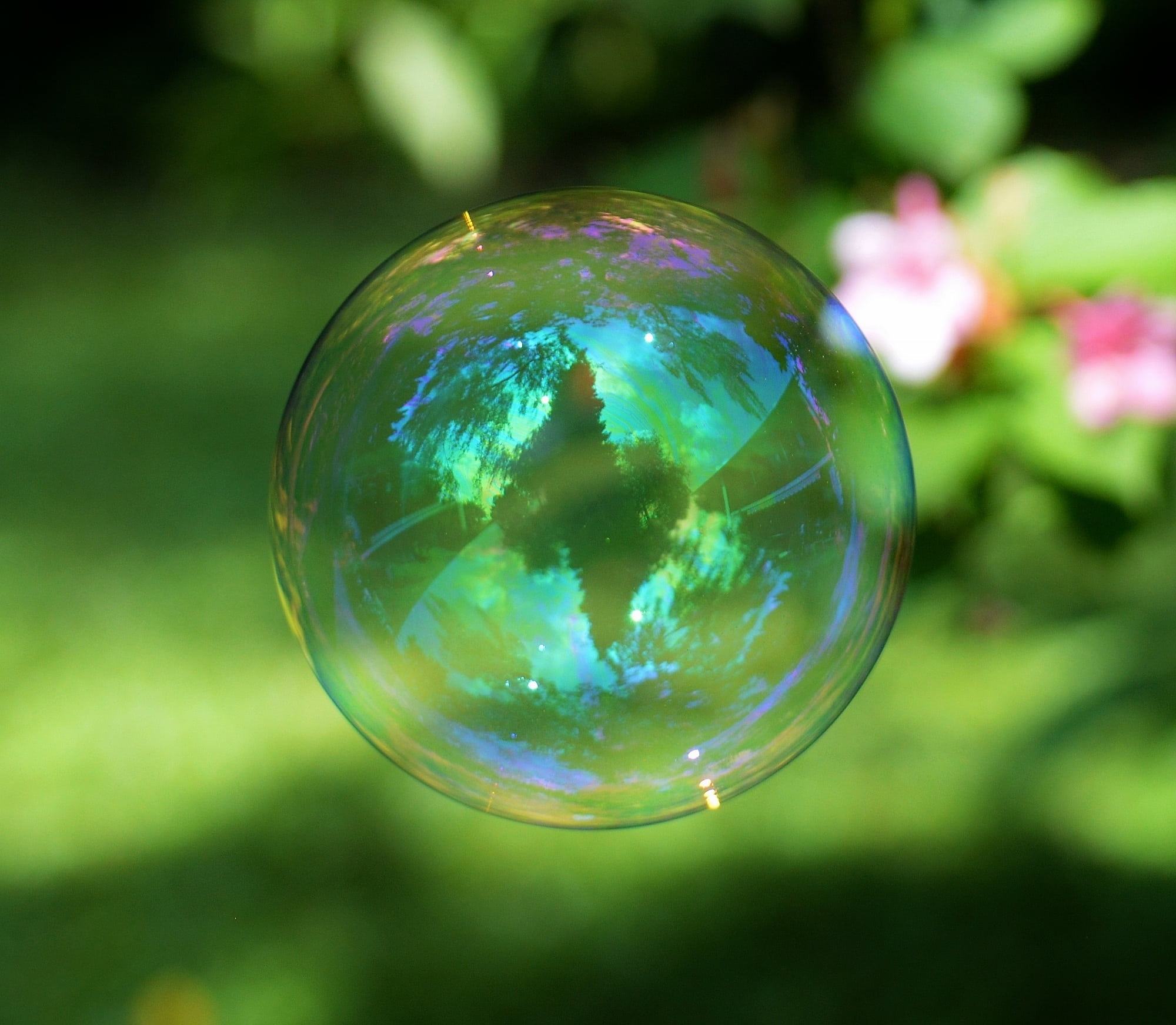 transparent, 1080P, green color, focus on foreground, circle, refraction, bubble wand, ball, no people, vulnerability, soap sud, close-up, colorful, make soap bubbles, HD Wallpaper