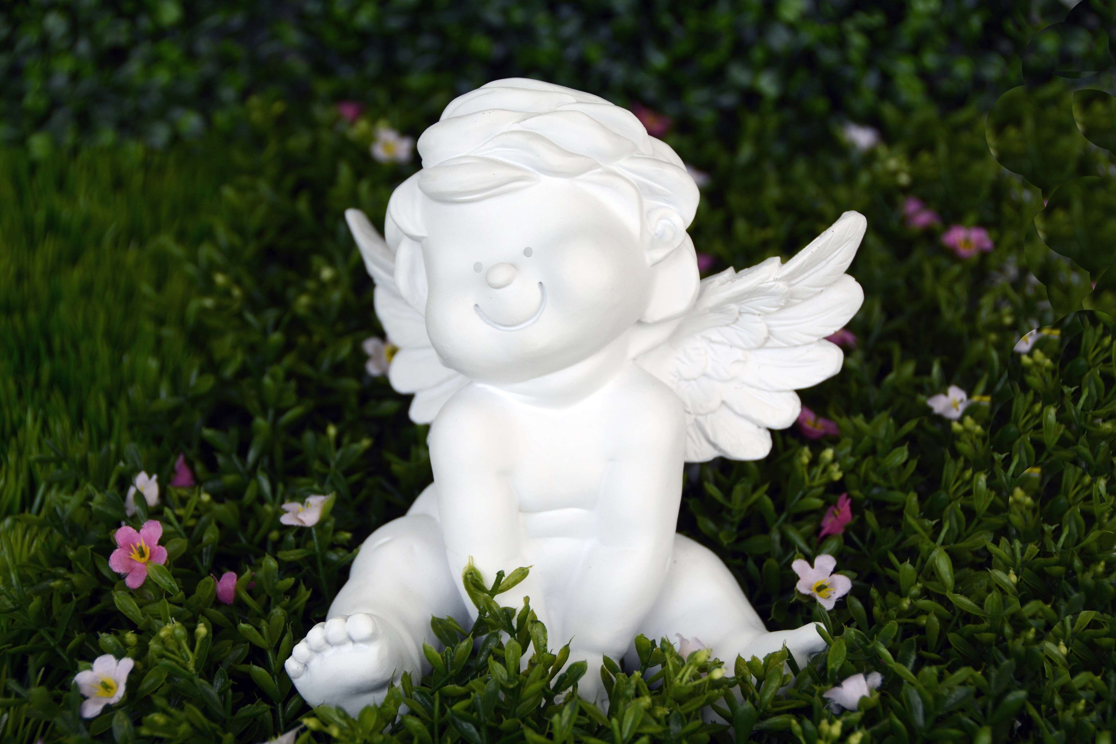 plant, decoration, human representation, joy, smile, cheerful, flower, angel figure, faith, face, belief, laugh, guardian angel, no people, representation, HD Wallpaper