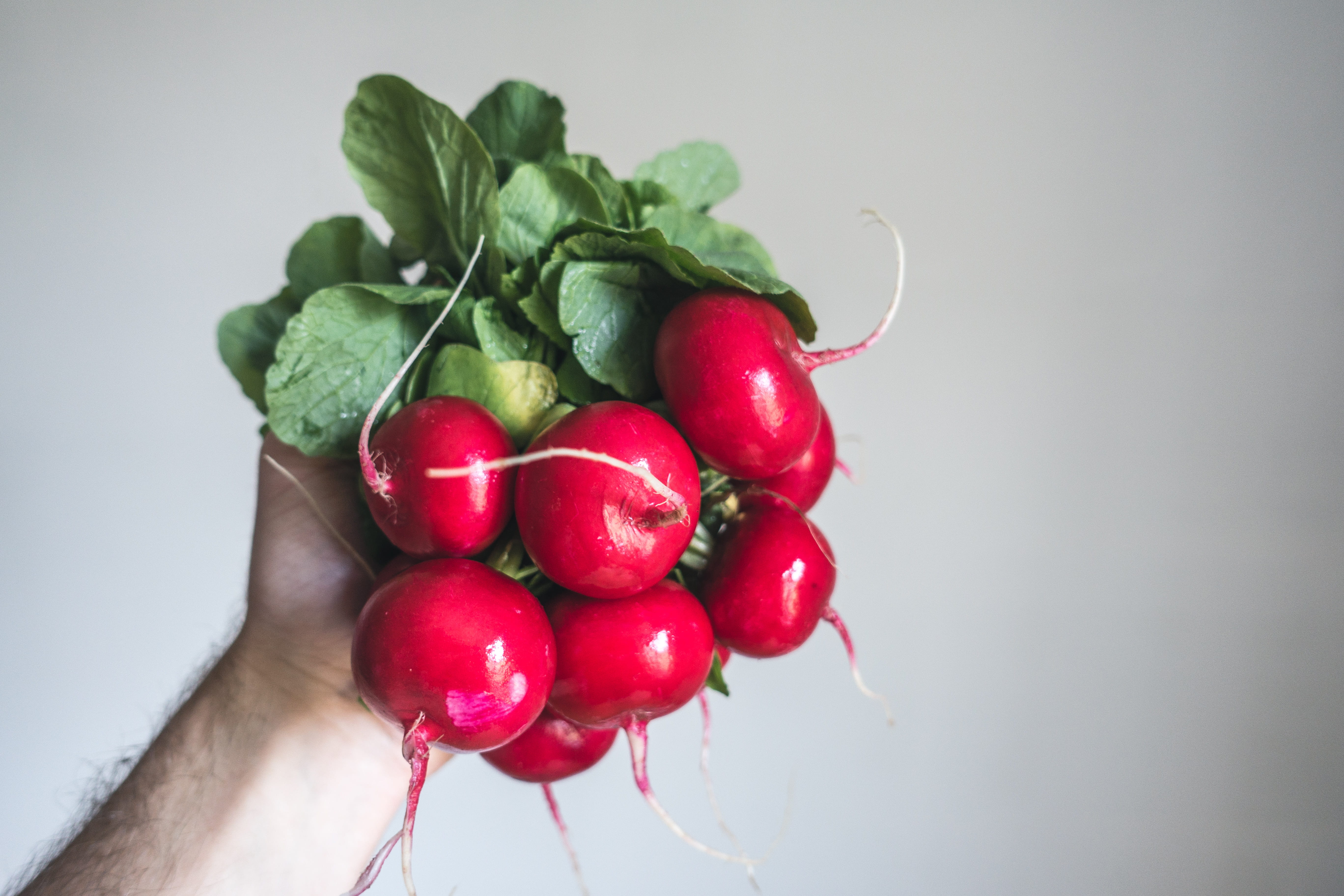 indoors, close-up, healthy lifestyle, healthy Eating, in hand, berry Fruit, plant part, 5K, ripe, vegetables, food, vegetable, leaf, studio shot, raw Food, HD Wallpaper