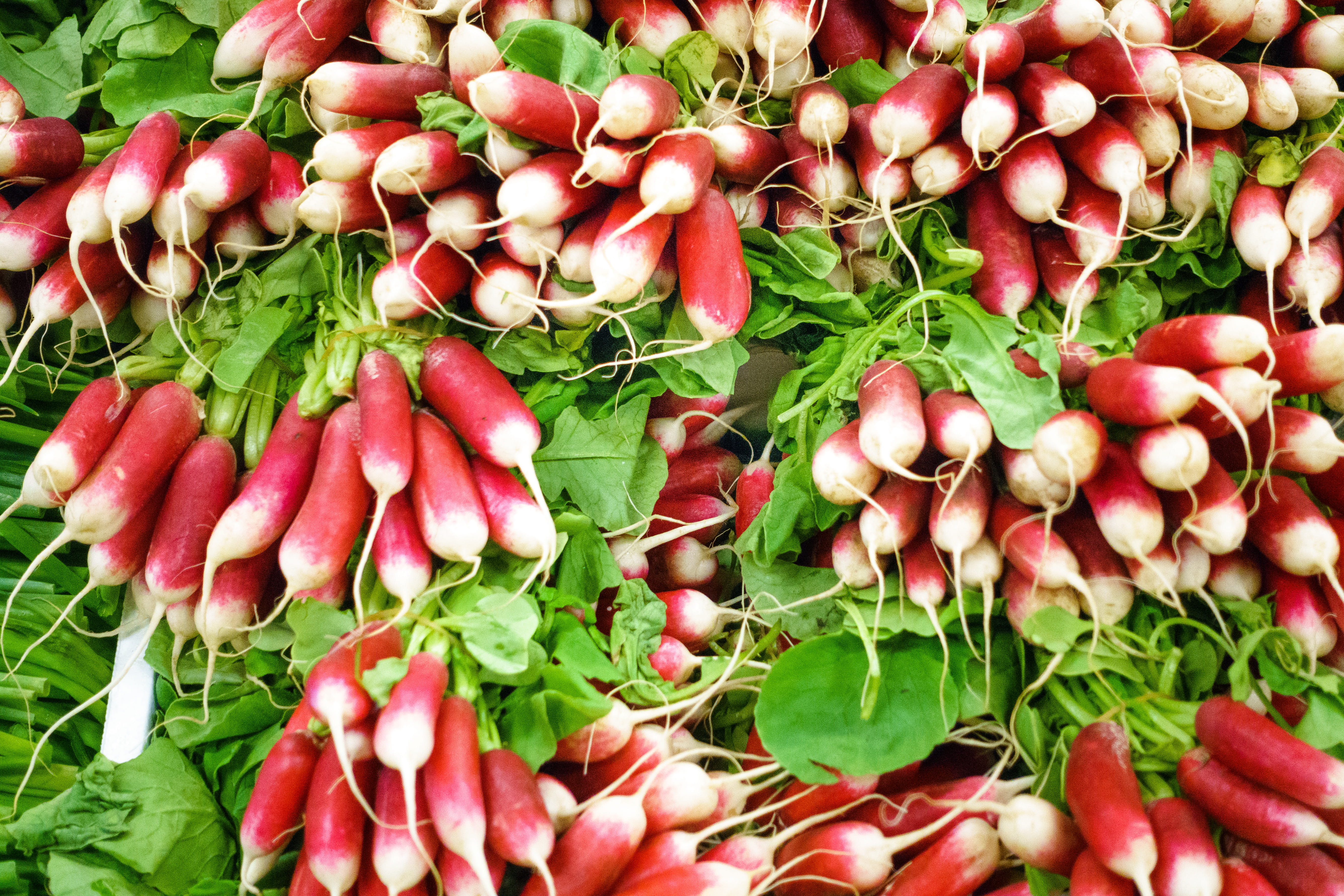 food And Drink, organic, full frame, farmers market, Radishes, root vegetable, freshness, green Color, plant, market, still life, vegetable, 5K, leaf, HD Wallpaper