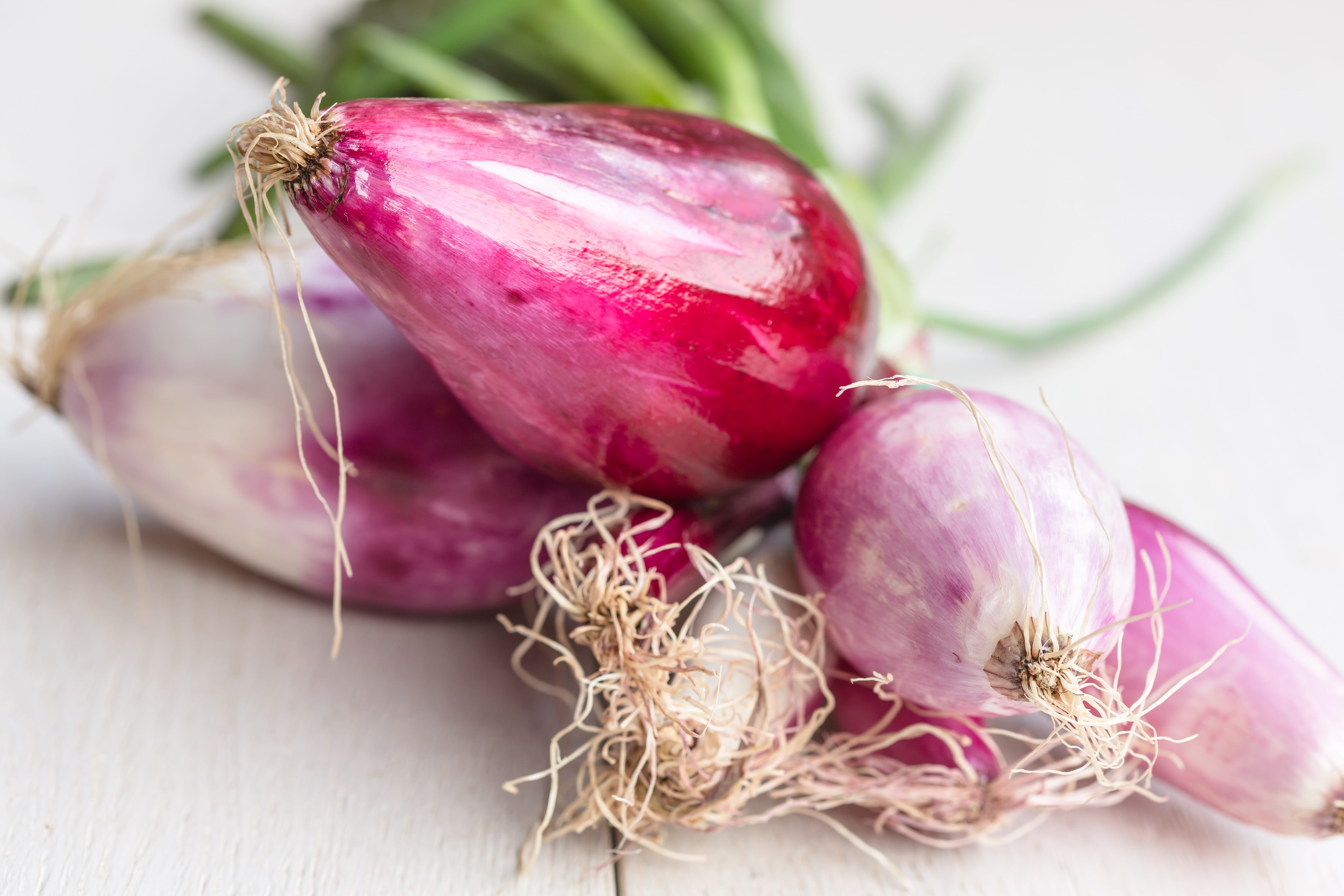 root vegetable, vegetarian food, italy, Raw, Onion, ingredient, wellbeing, freshness, common beet, vegetarian, close-up, indoors, 5K, table, Tropea, still life, HD Wallpaper
