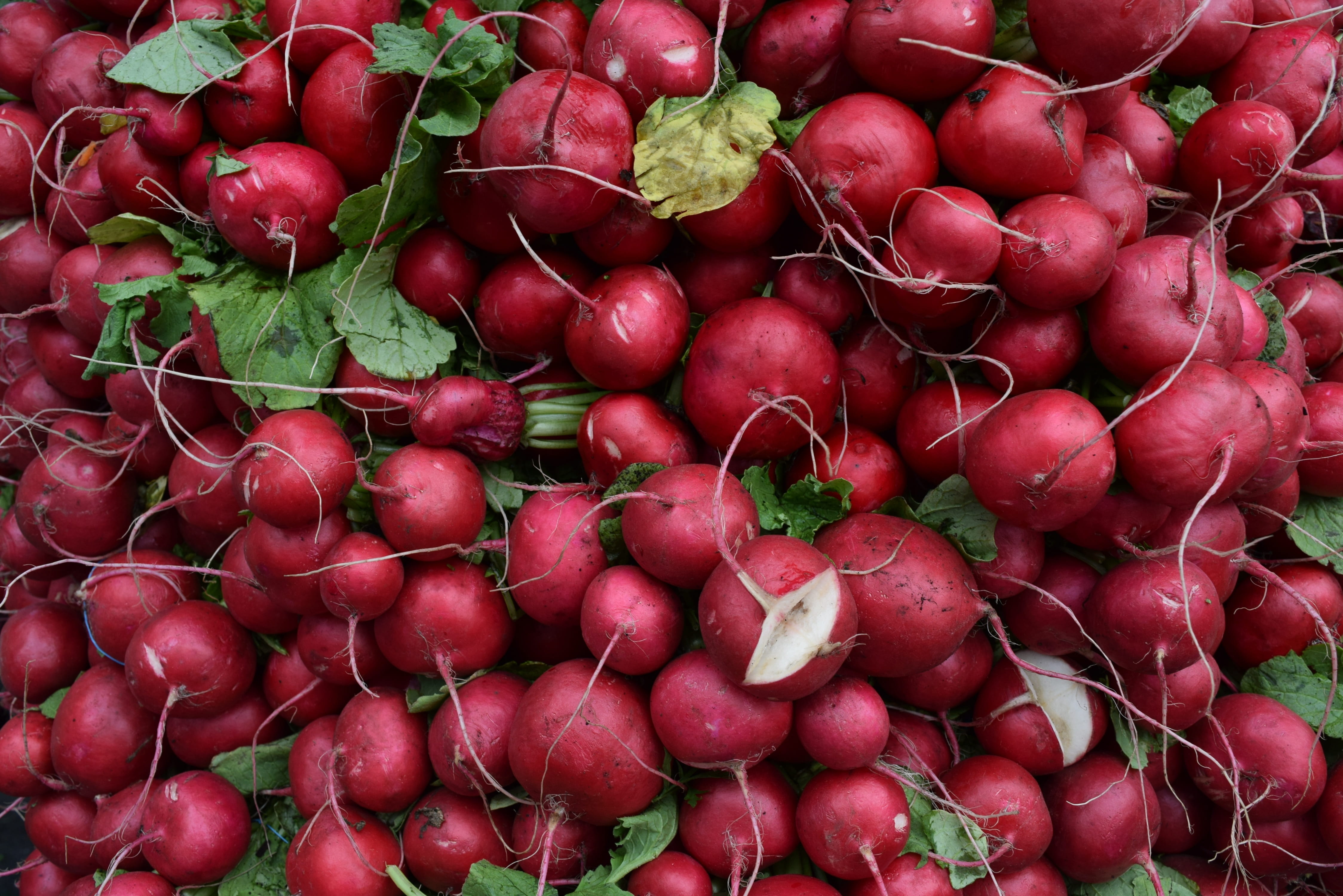 food and drink, vegetables, abundance, full frame, large group of objects, food, vegetable, red, veggies, wellbeing, sale, turnip, root vegetable, freshness, HD Wallpaper
