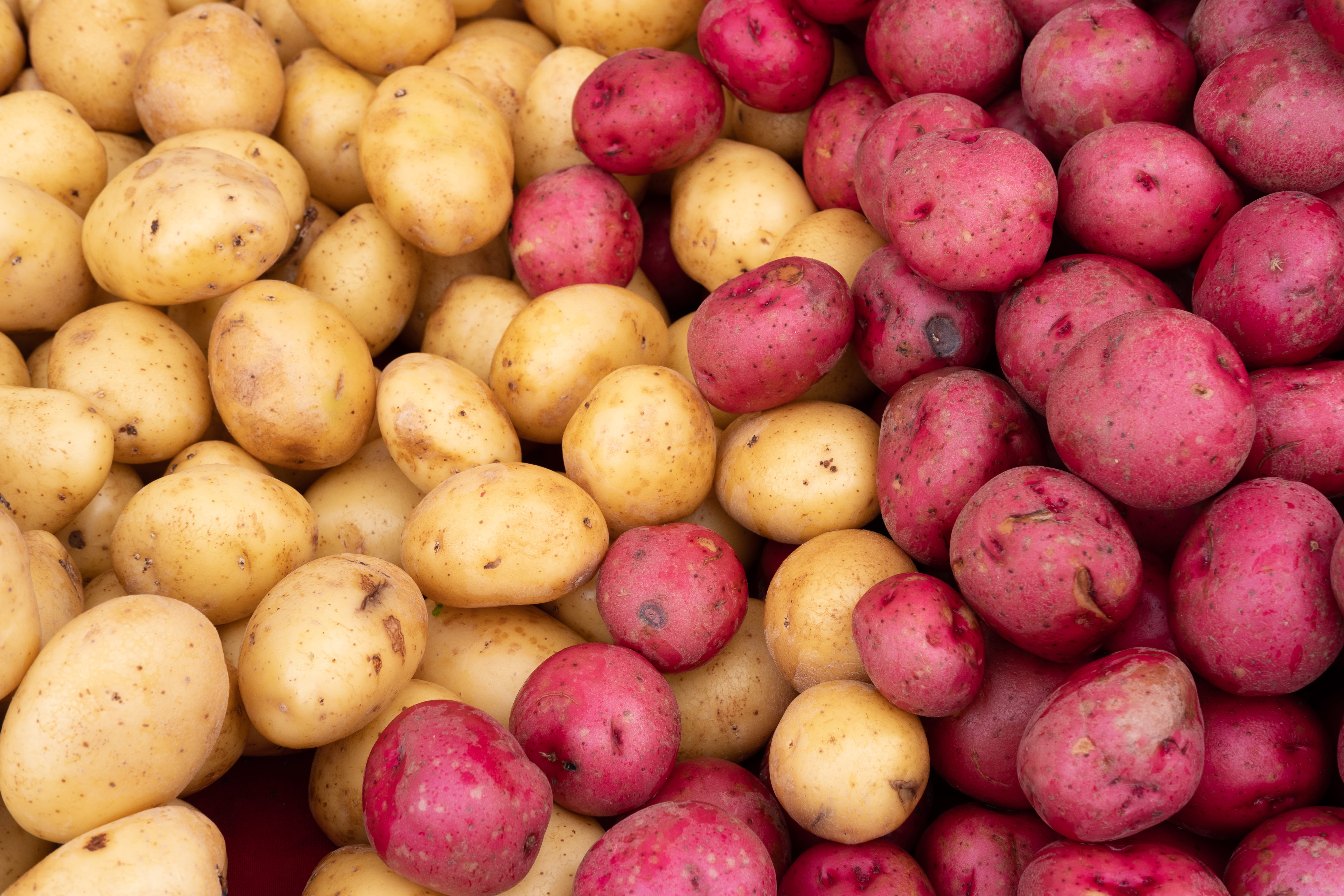 market, potato, ca, abundance, texture, vegetables, wellbeing, fremont, no people, freshness, backgrounds, root, sweets, retail, full frame, large group of objects, HD Wallpaper
