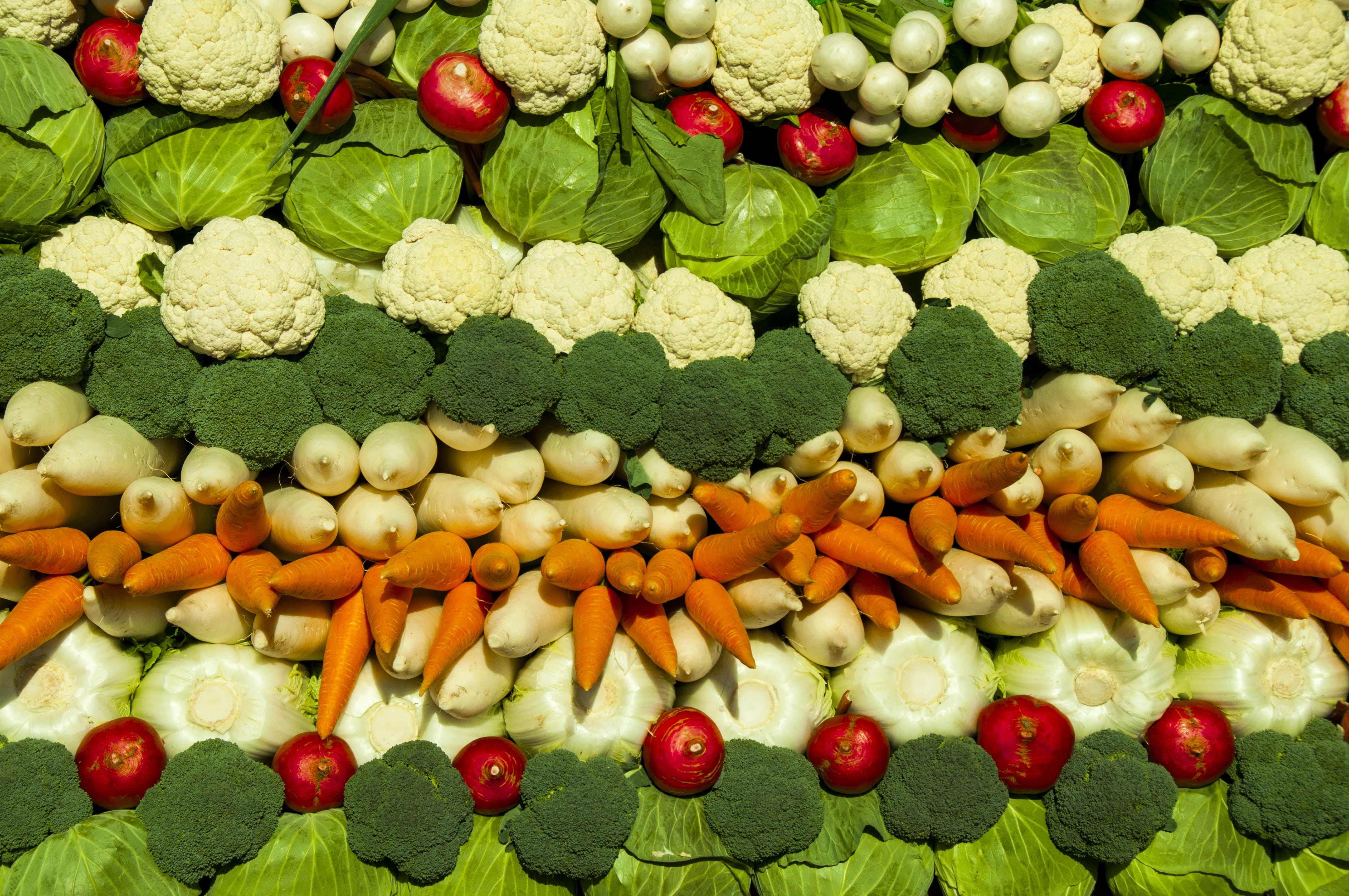 organic, high angle view, for sale, abundance, 4K, carrot, radish, large group of objects, cabbage, vegetables, wellbeing, freshness, market, green color, HD Wallpaper