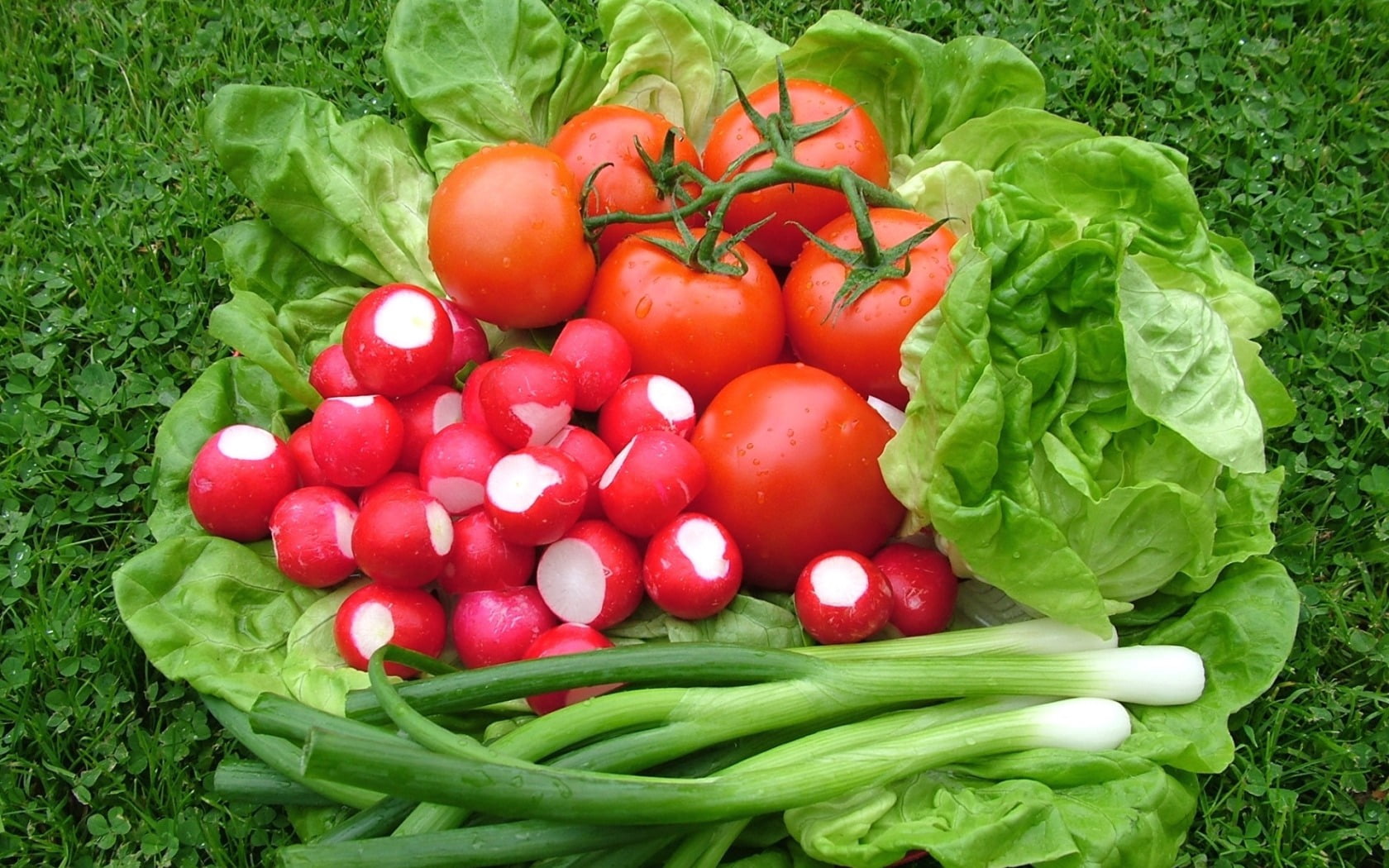 green color, tomatoes, directly above, food and drink, leaf vegetable, onions, freshness, still life, red, food, no people, fruit, root vegetable, pepper, HD Wallpaper