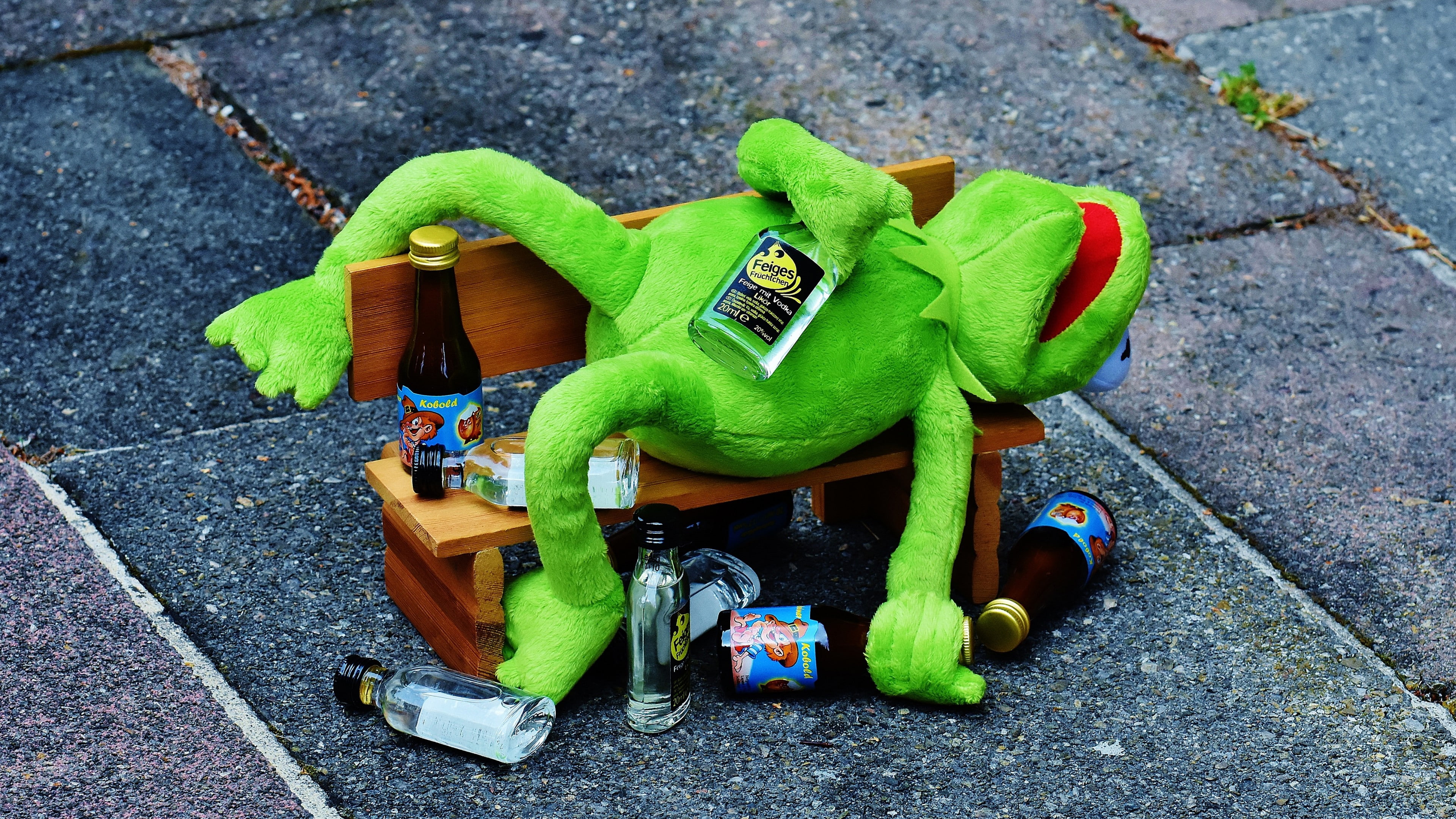 drunk, toy, drink, frog, kermit the frog, textile, plush, 4K, HD Wallpaper
