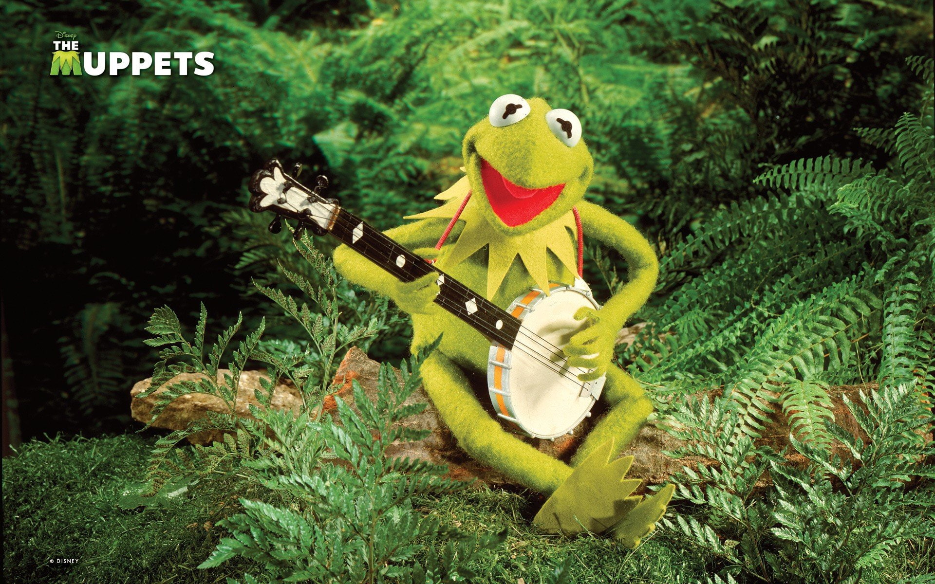1080P, banjo, jim, green, henson, frog, kermit, frogs, HD Wallpaper