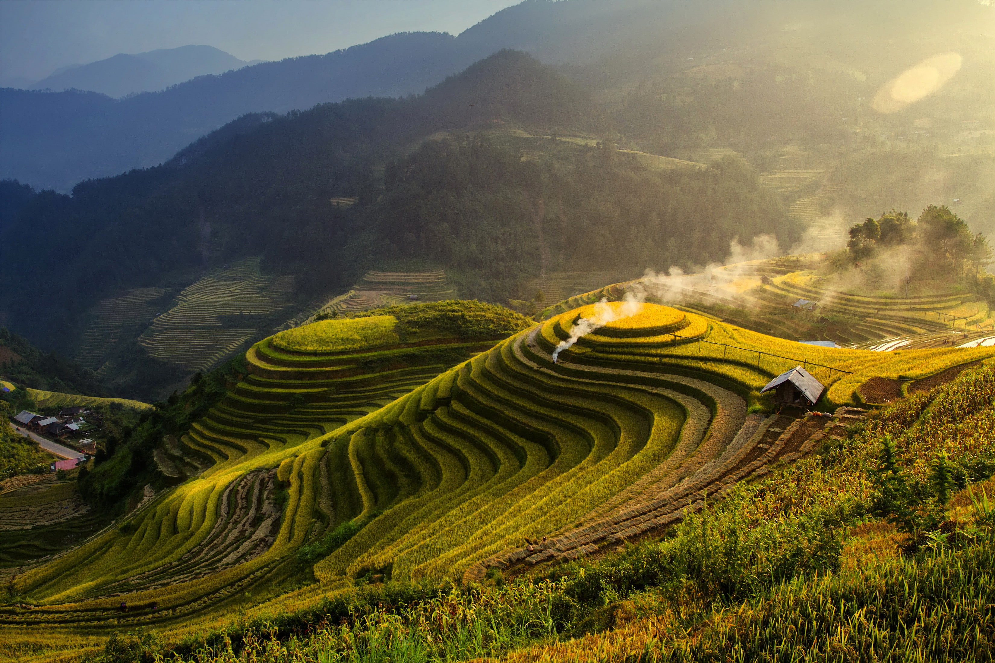greens, grass, forest, mountains, house, field, 2K, plantation, smoke, HD Wallpaper