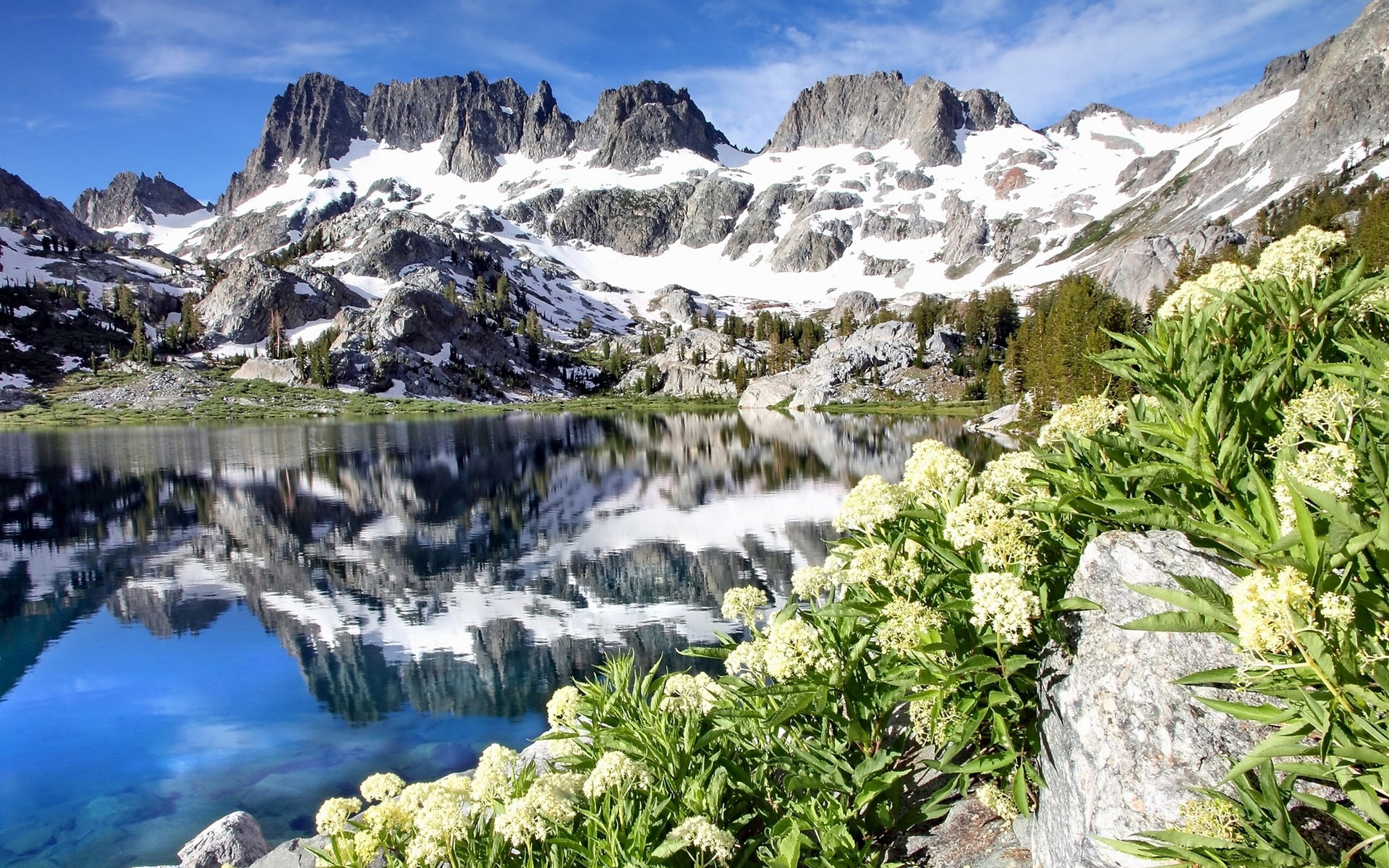 Mountains, 1080P, Flowers, Ediza, Wilderness, USA, Adams, Ansel, California, Lake, HD Wallpaper