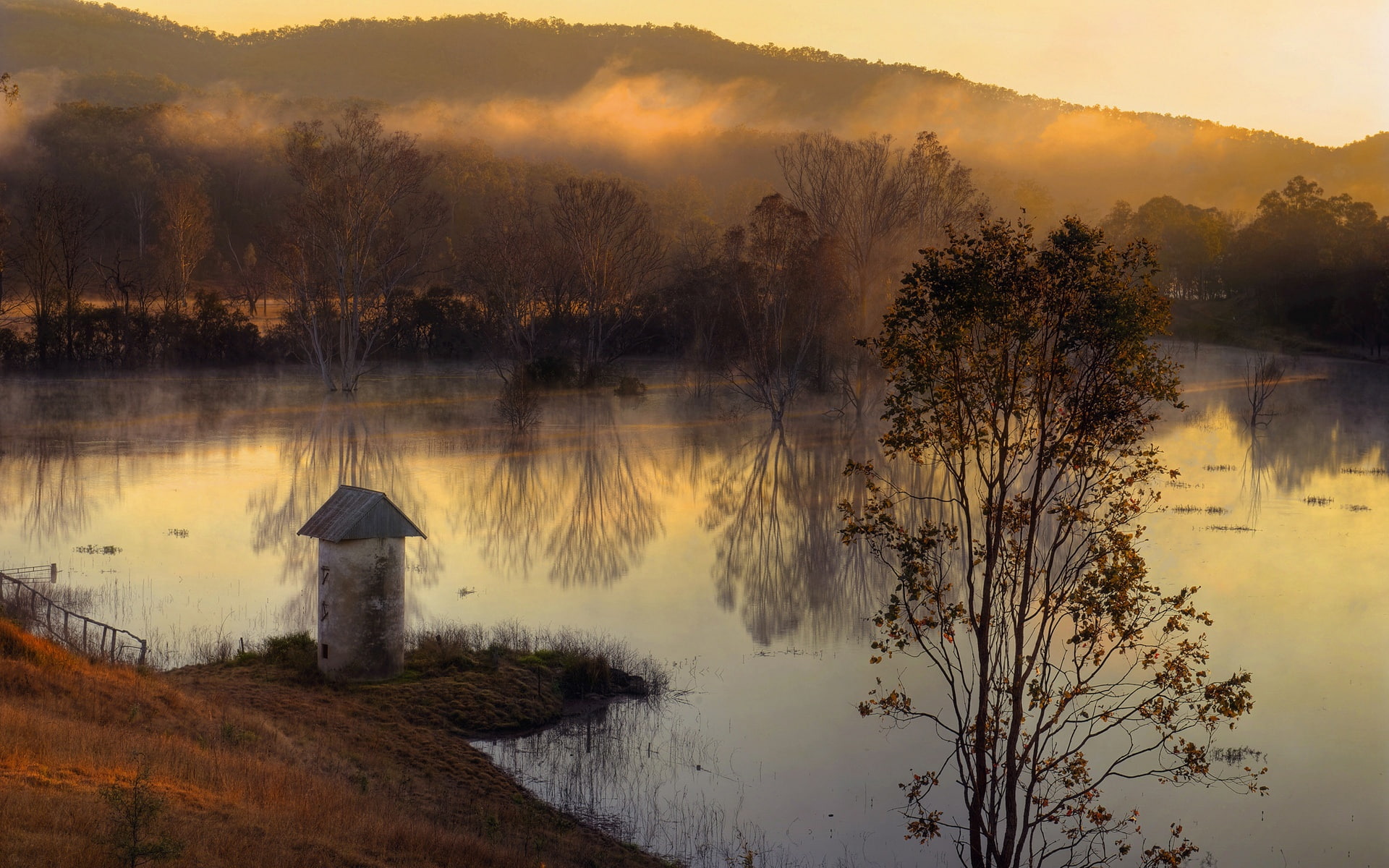 Morning, Fog, Autumn, Lake, Trees, 1080P, Hills, HD Wallpaper