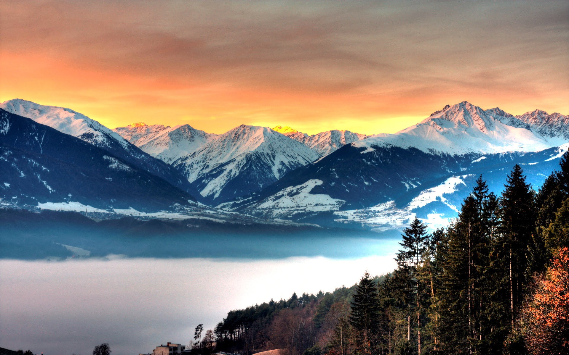 trees, hd, mountains, nature, mist, forest, fog, 1080P, HD Wallpaper
