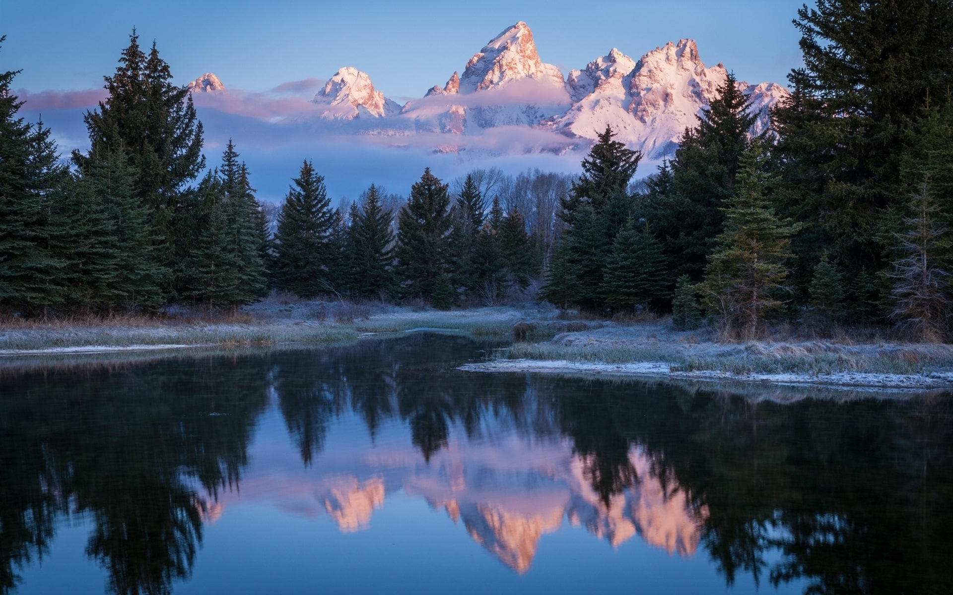 Lake, National, Grand, 1080P, Park, Teton, USA, Trees, Morning, Wyoming, HD Wallpaper