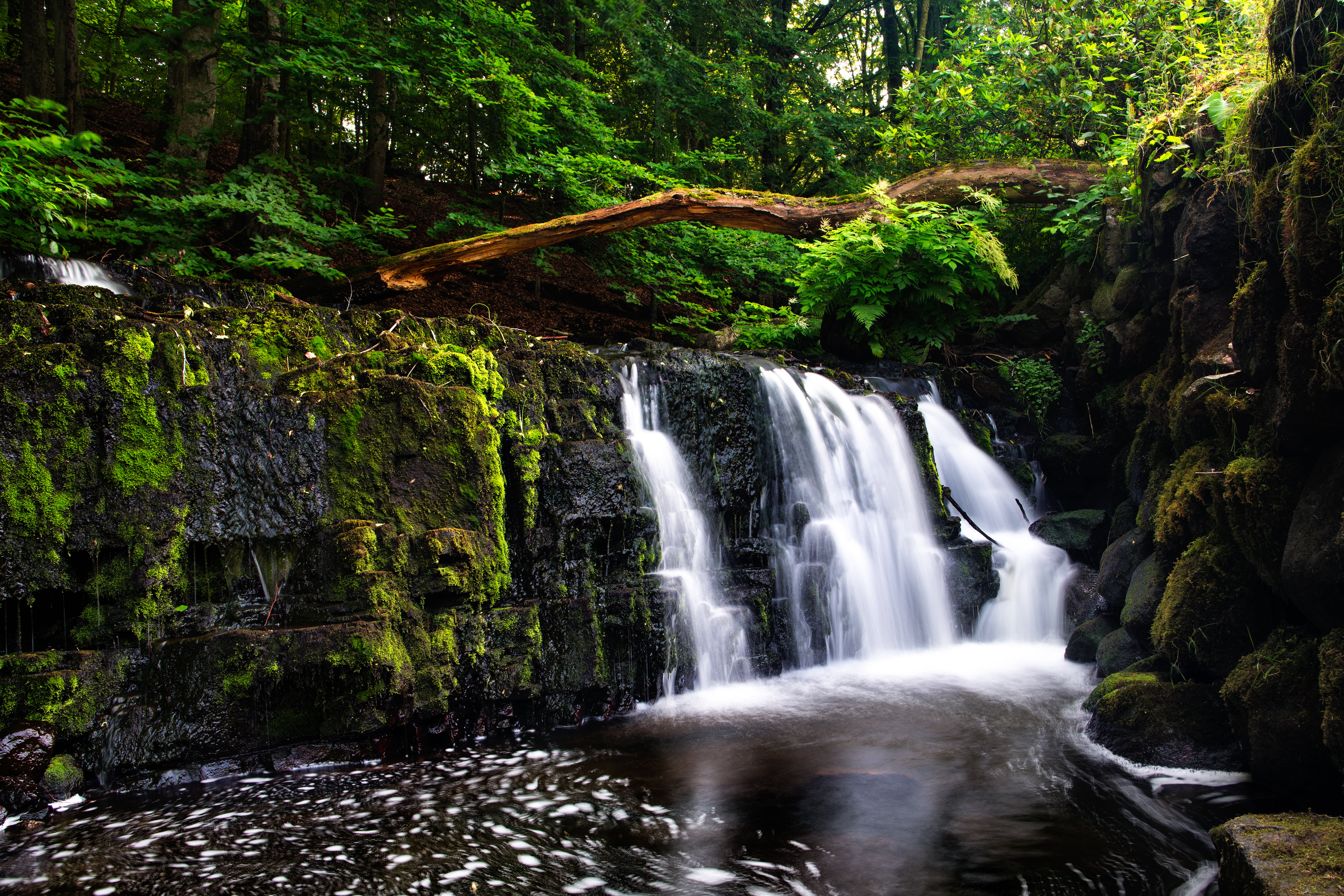 waterfalls, Canon EF, water, Scania, tropical Rainforest, landscape, Waterfall, 5K, river, Sverige, scenics, outdoors, tree, photo, beauty In Nature, Fors, HD Wallpaper