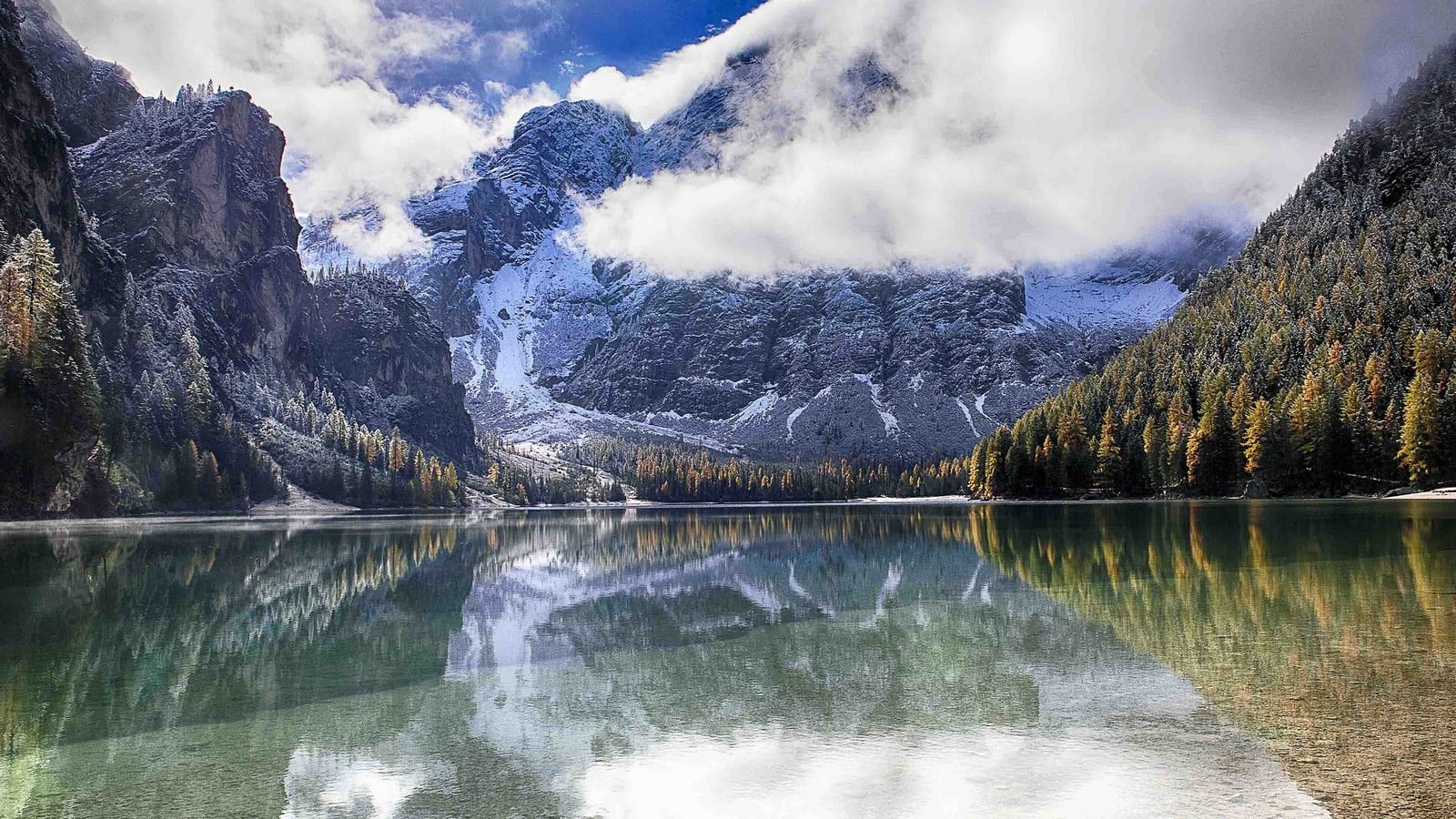 coniferous tree, sky, Alps, plant, nature, photography, snow, tranquility, tree, cloud - sky, landscape, scenics - nature, non-urban scene, mountain range, HD Wallpaper